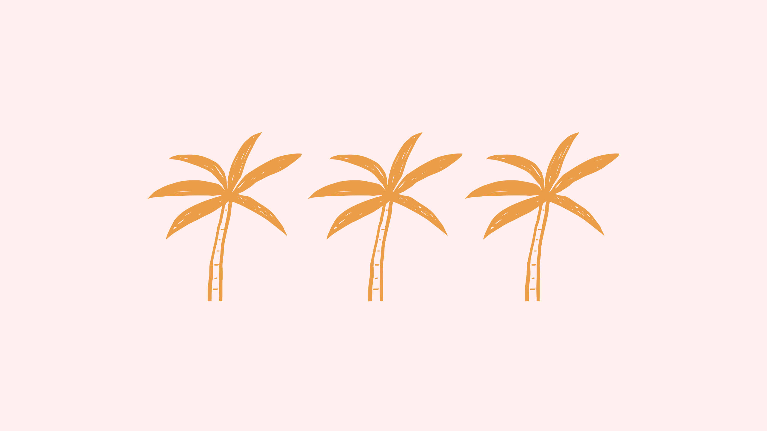 2560x1440 summer, coconut trees, orange palm trees, 2K Desktop Wallpaper