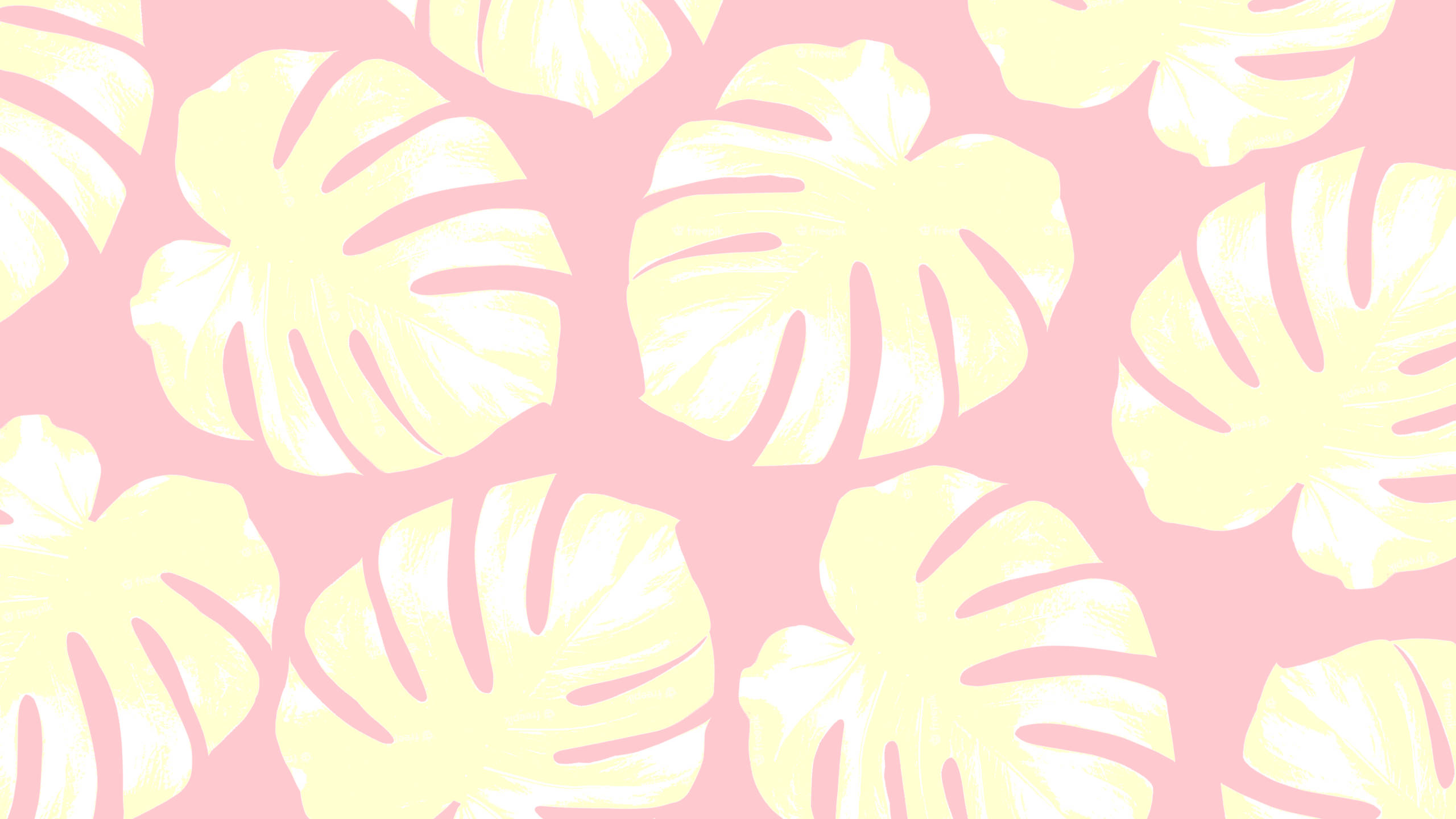 2560x1440, summer, pastel pink, 2K Desktop Wallpaper