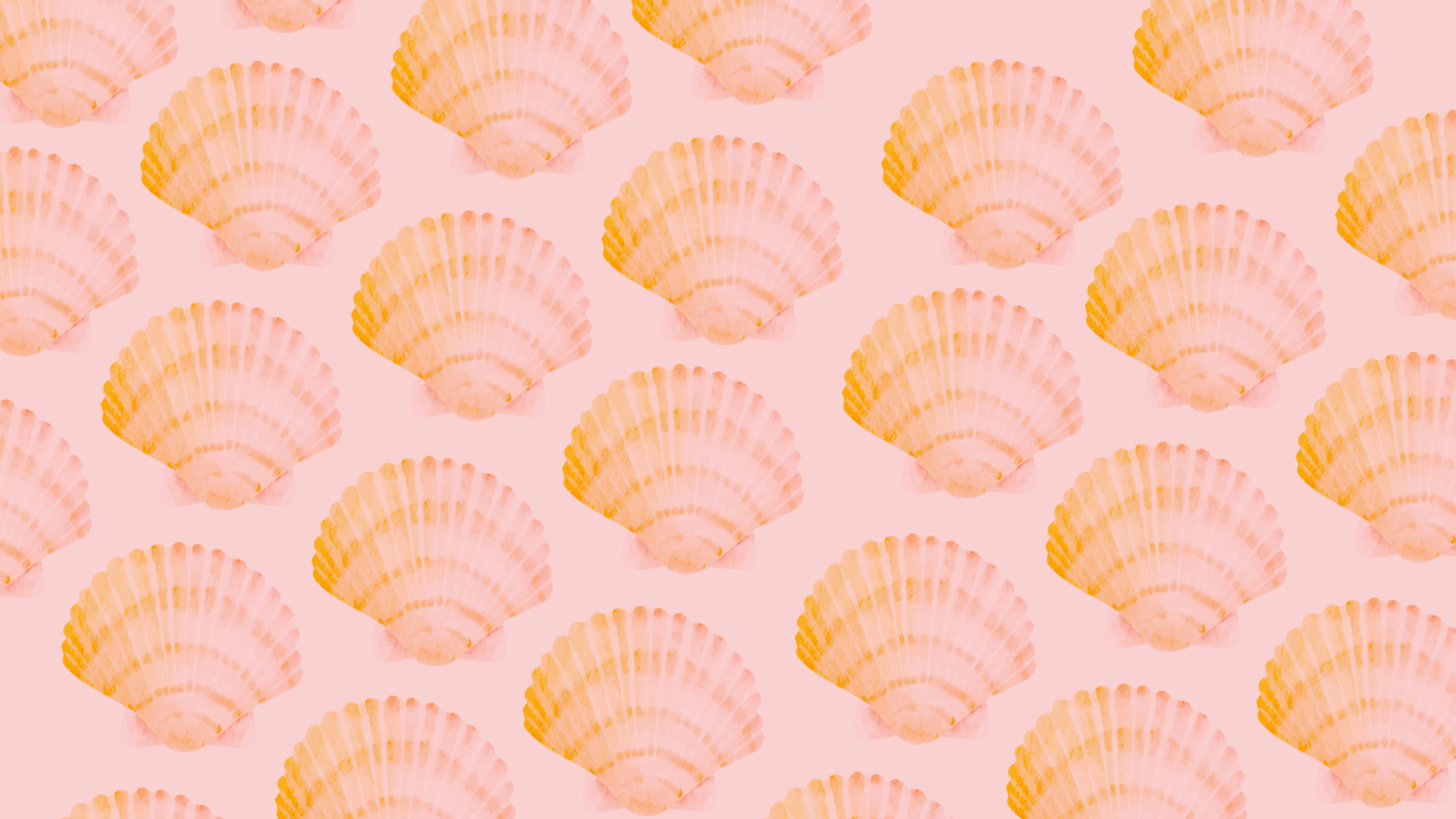 2560x1440 summer, peach, coral, 2K Desktop Wallpaper