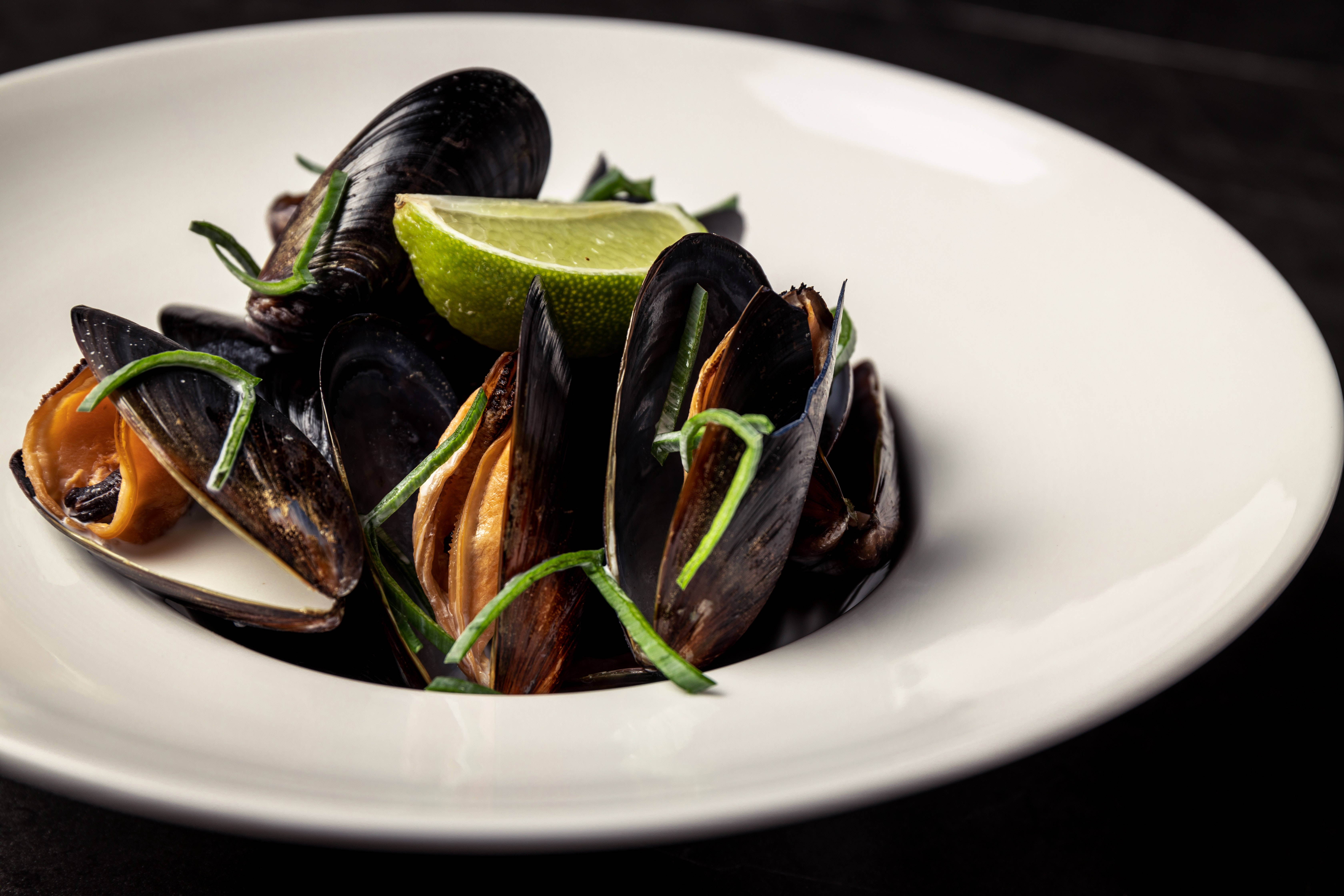 cooked mussel, white bowl, lime, 5K Desktop Wallpaper