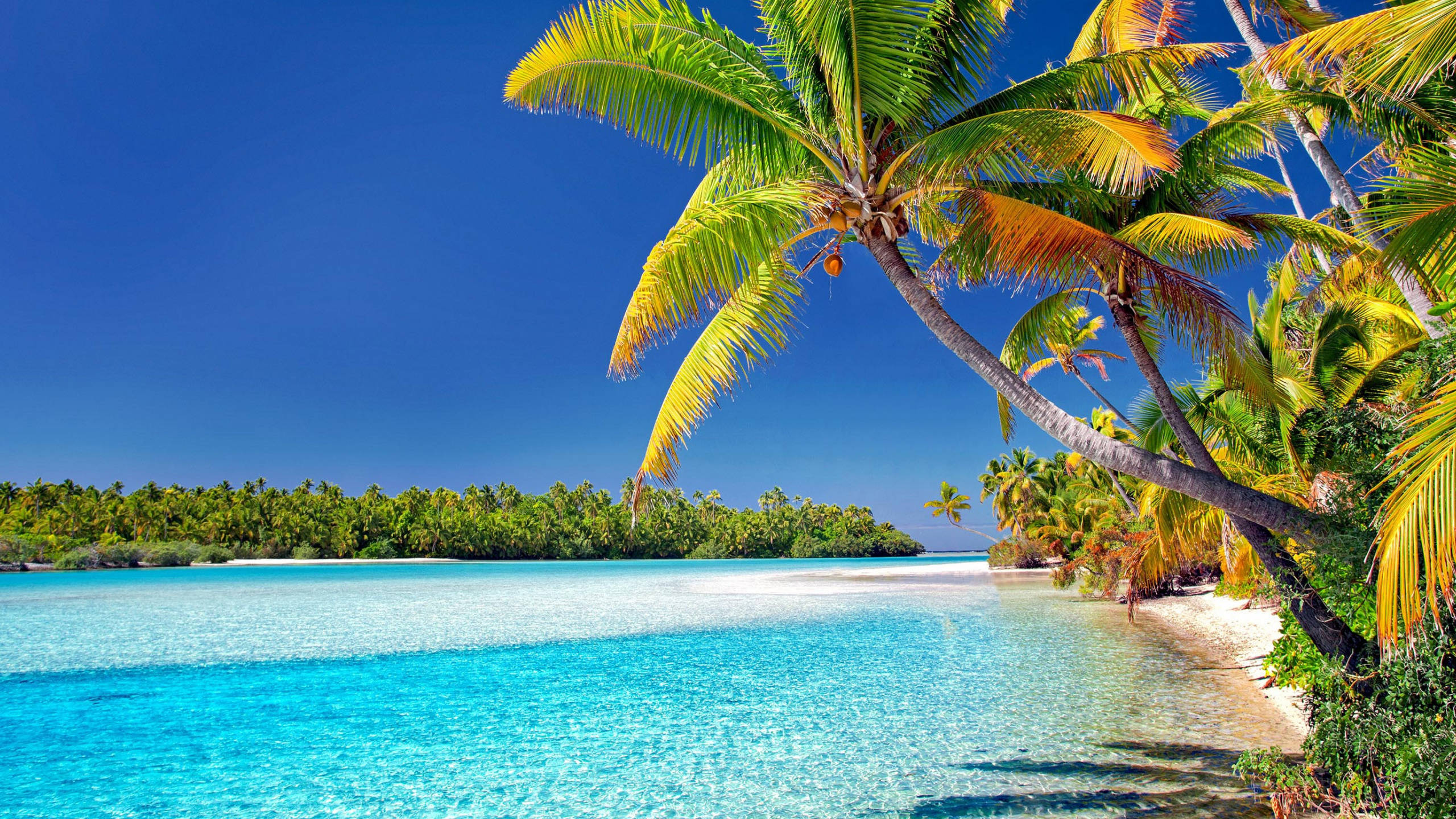 tropical sea, turquoise waters, white sand, 2K Desktop Wallpaper