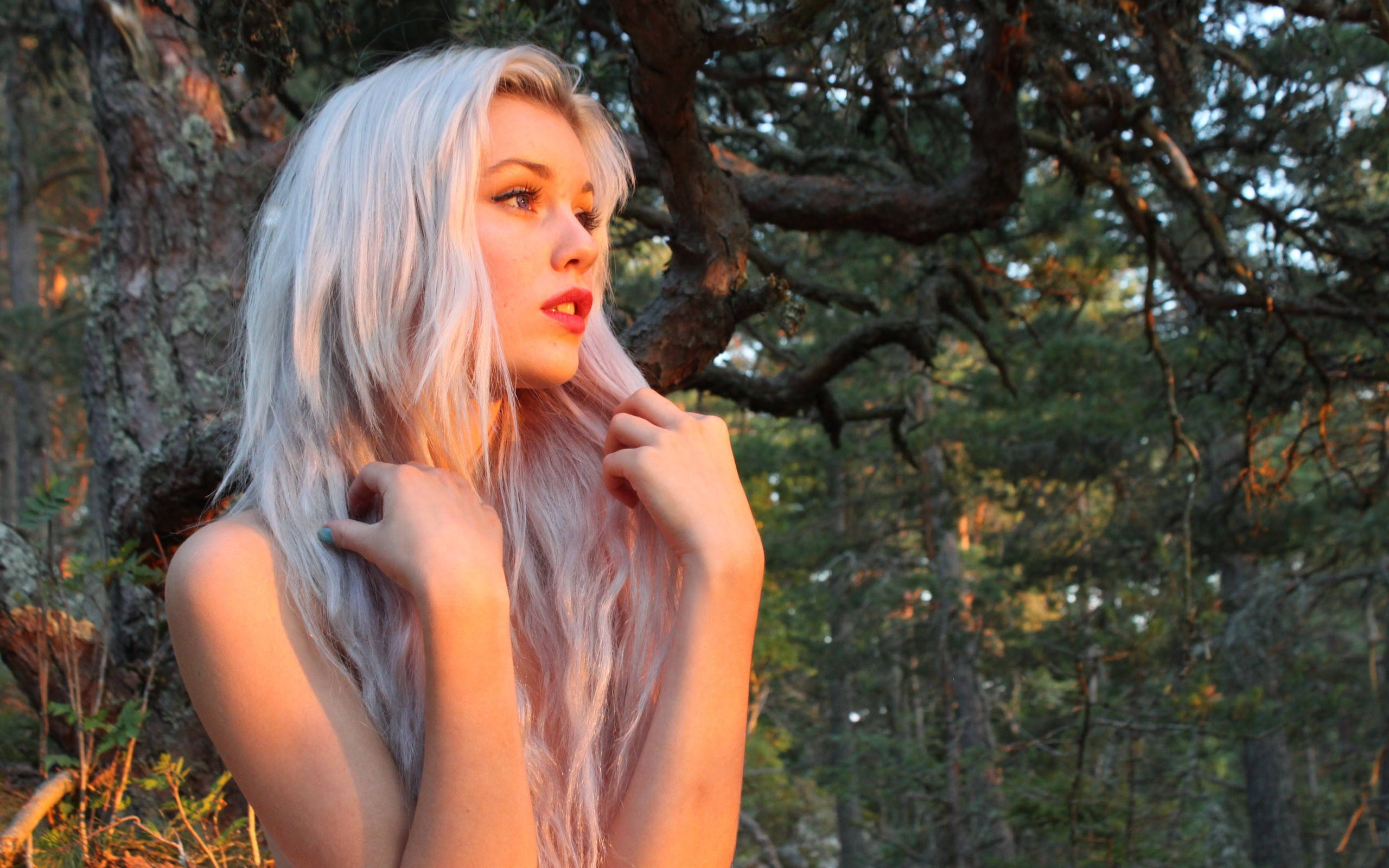 woman in woods, pale silver hair, sunlit forest, 2K Desktop Wallpaper