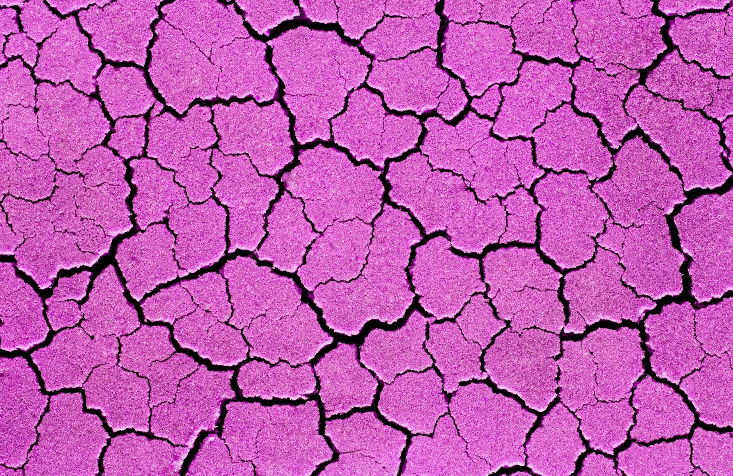 2560x1664, vibrant purple cracked earth, stark black fissures, 2K Desktop Wallpaper