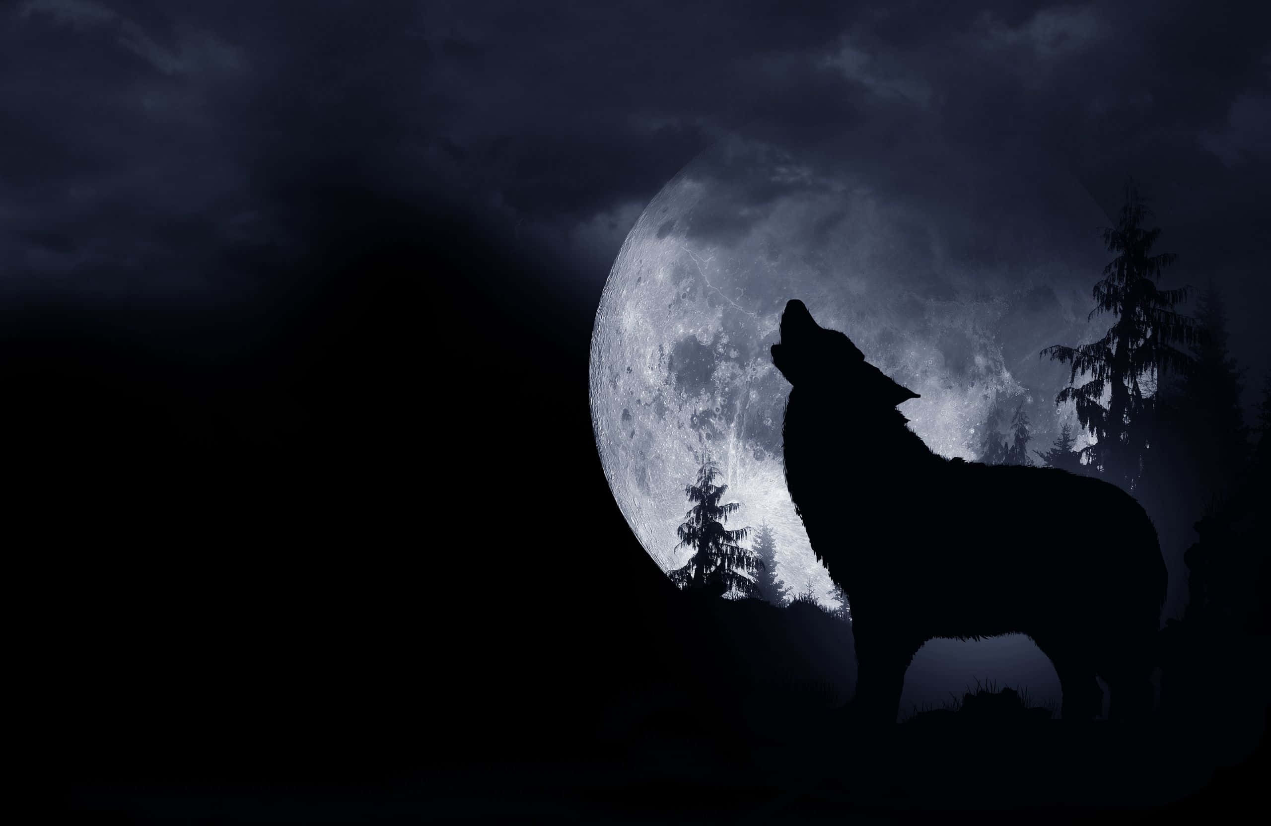 2560x1664, lone wolf, glowing moon, 2K Desktop Wallpaper