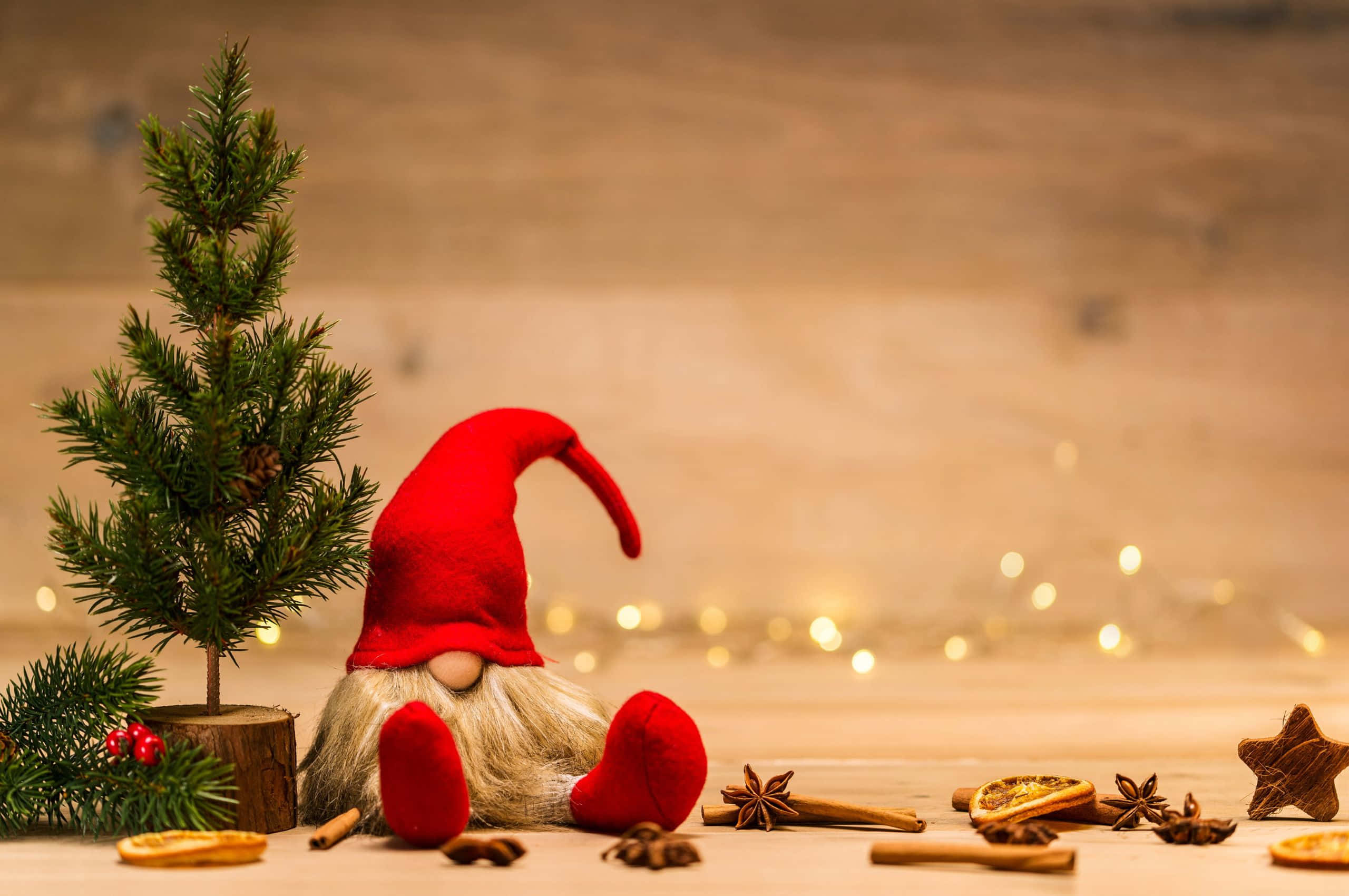 2560x1700, gnome, pine tree, 2K Desktop Wallpaper