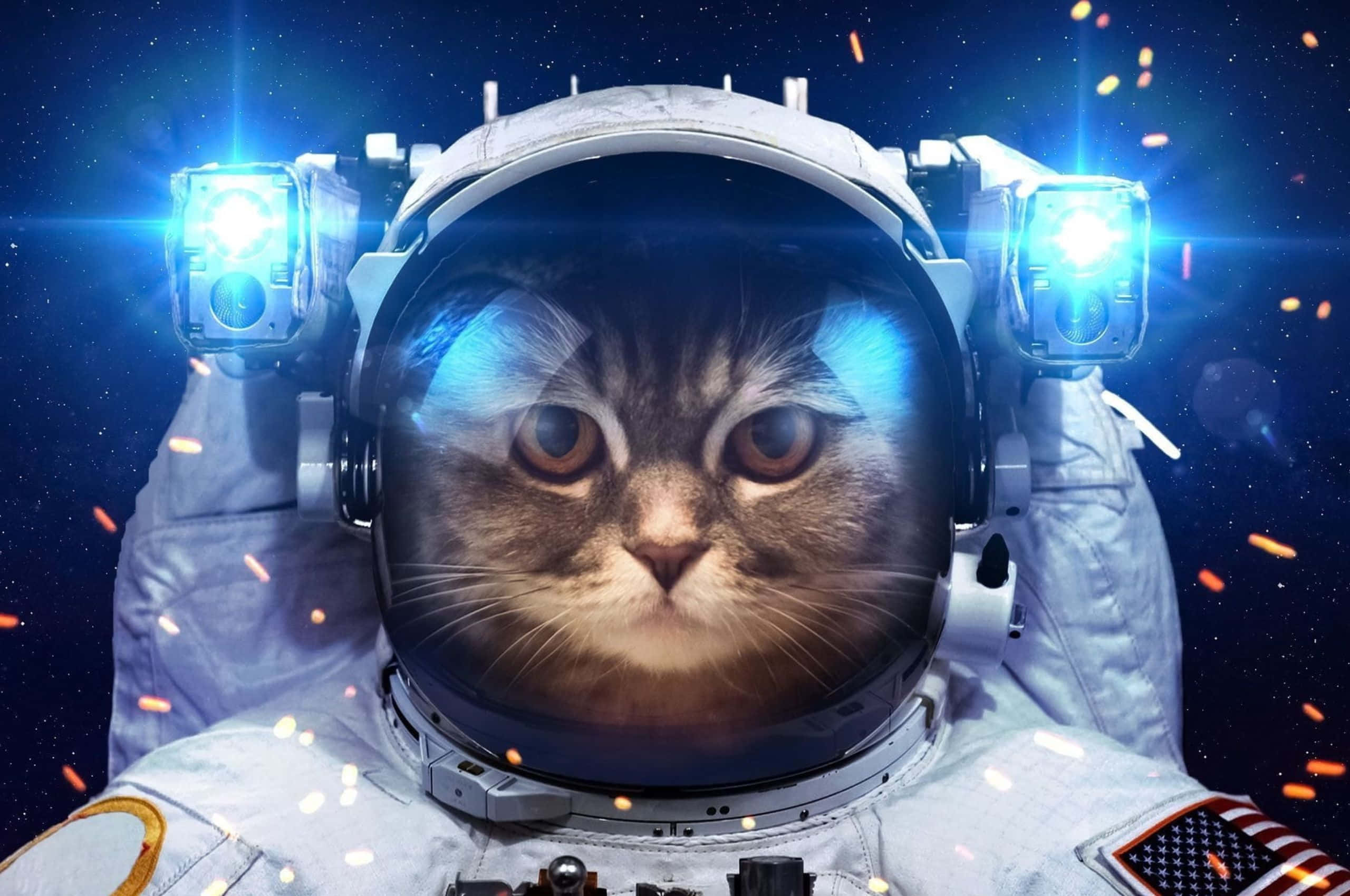 tabby cat, astronaut suit, starry cosmic void, 2K Desktop Wallpaper