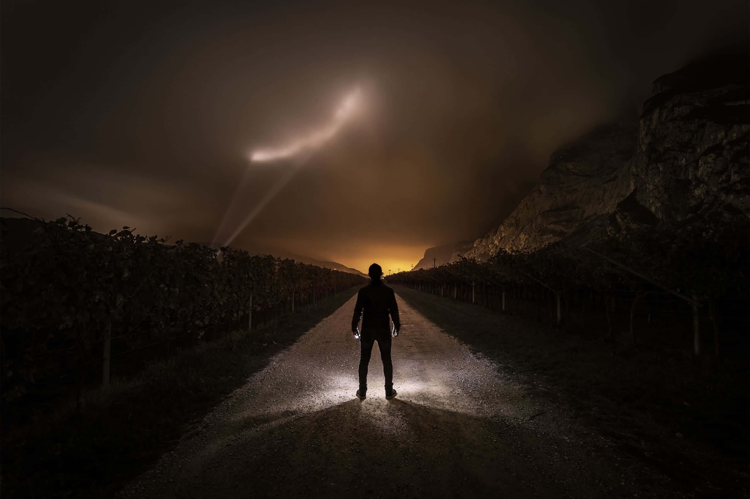 2560x1704, dark vineyard path, night, 2K Desktop Wallpaper