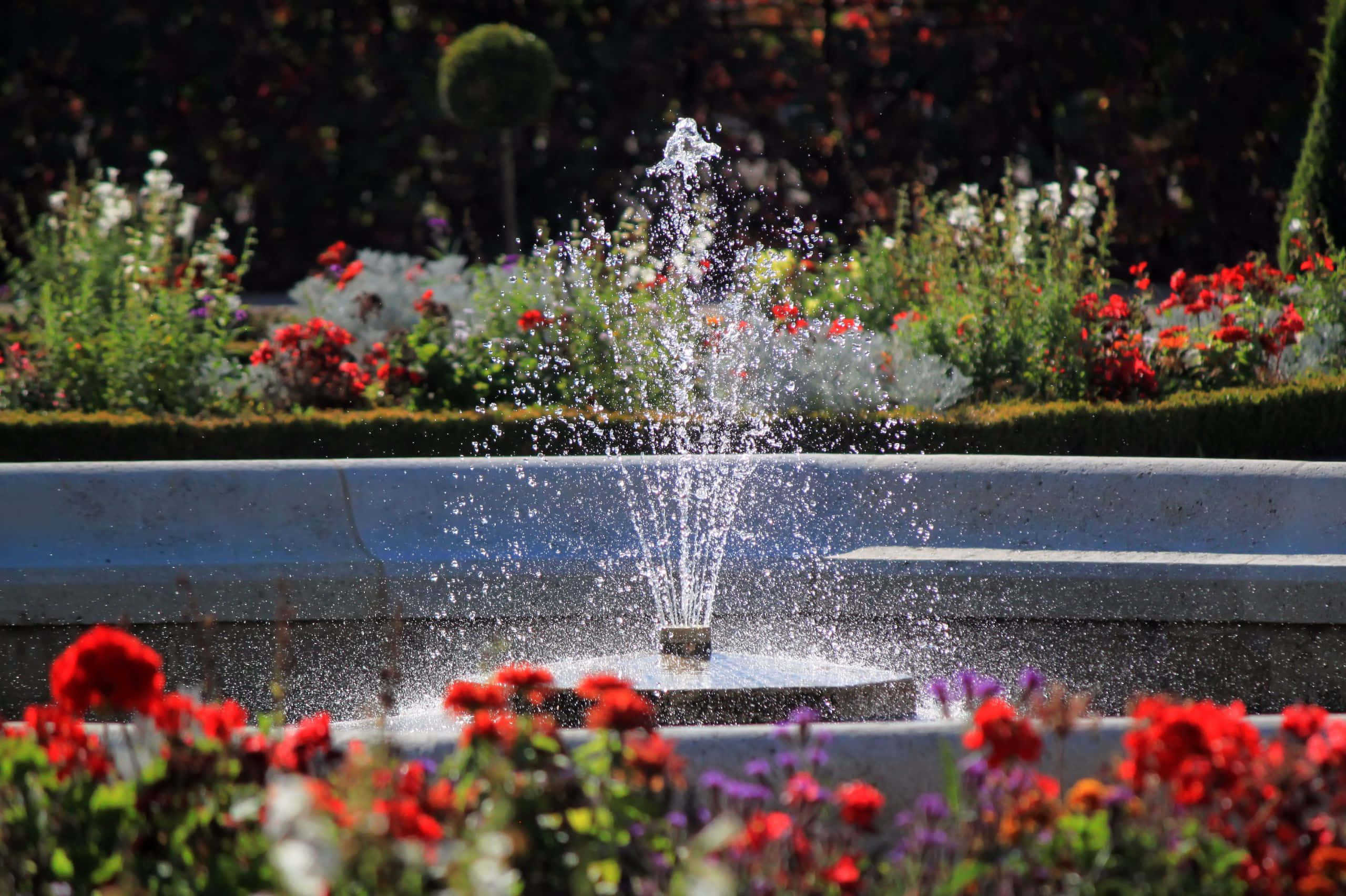 2560x1704, sunlit garden fountain, sparkling water, 2K Desktop Wallpaper