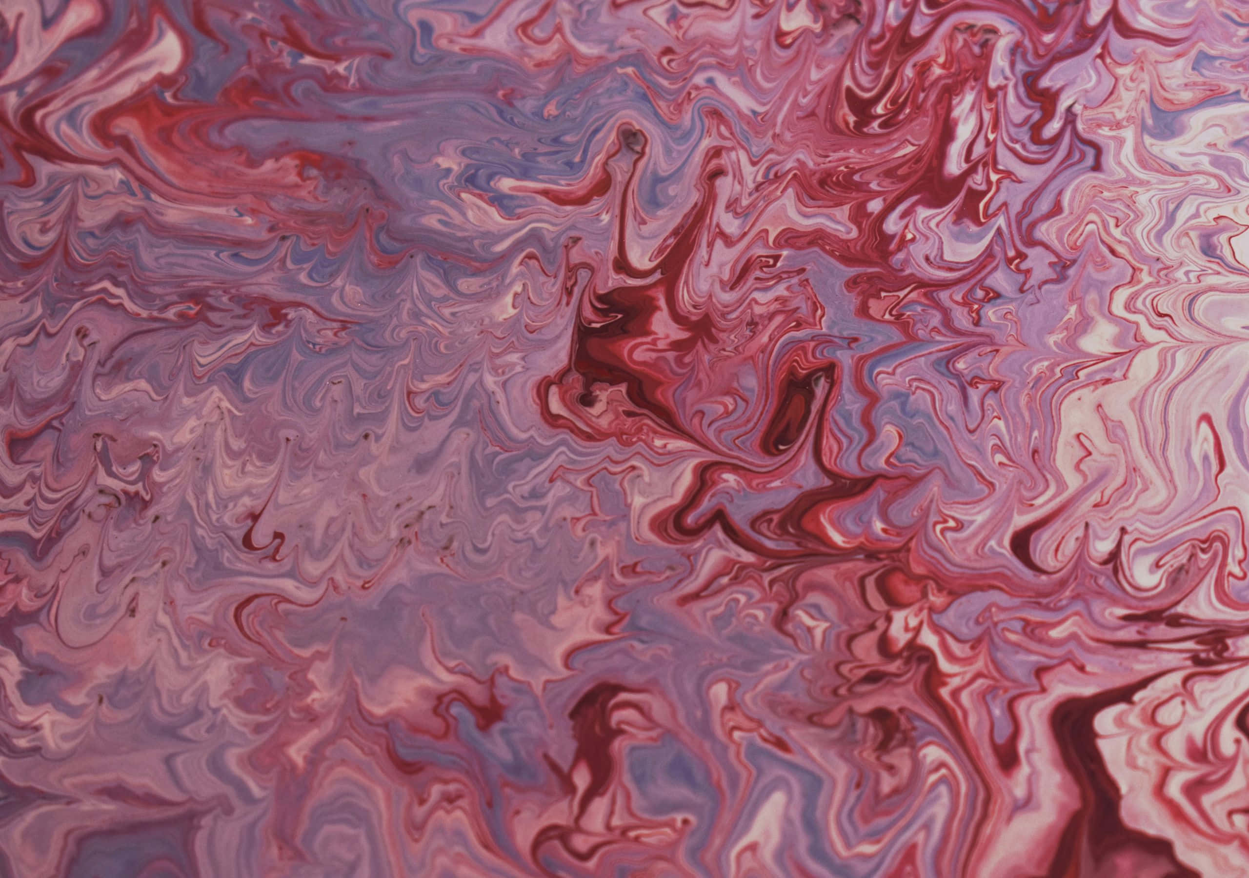 2560x1800, pink, purple, 2K Desktop Wallpaper