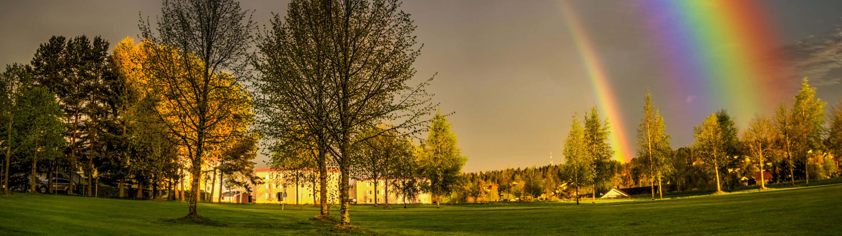 rainbow, grassy park, autumn trees, 2K Desktop Wallpaper