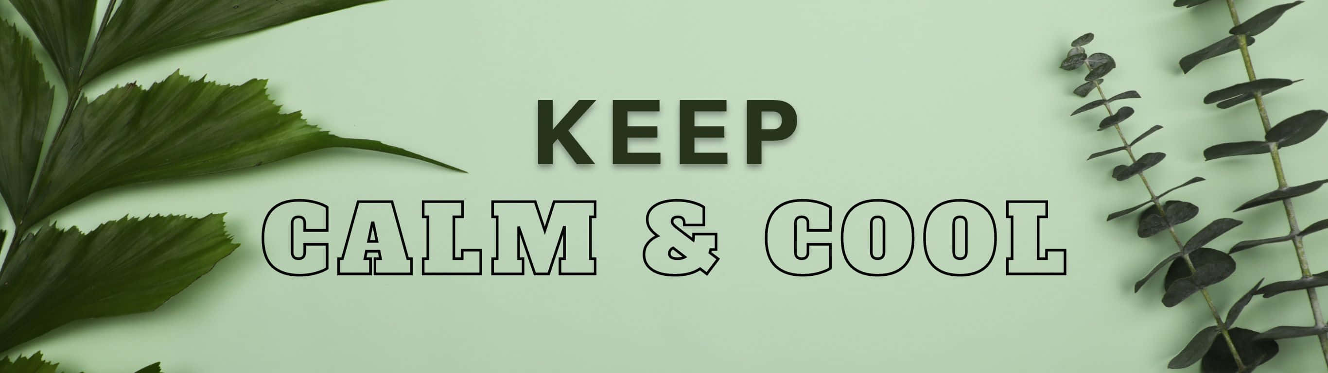 2732x768, mint green, dark green, 2K Desktop Wallpaper