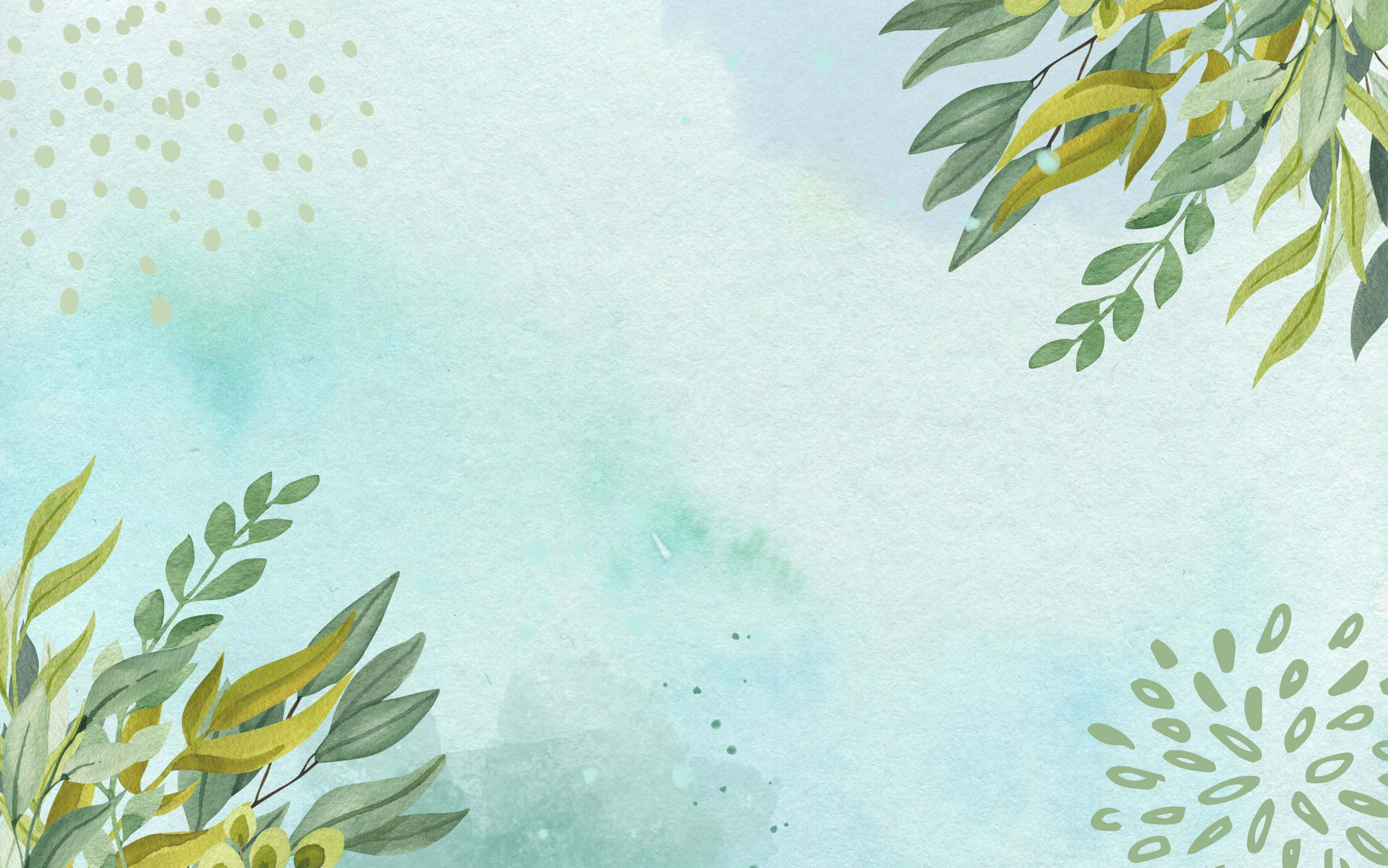 2800x1752, green, yellow, 2K Desktop Wallpaper