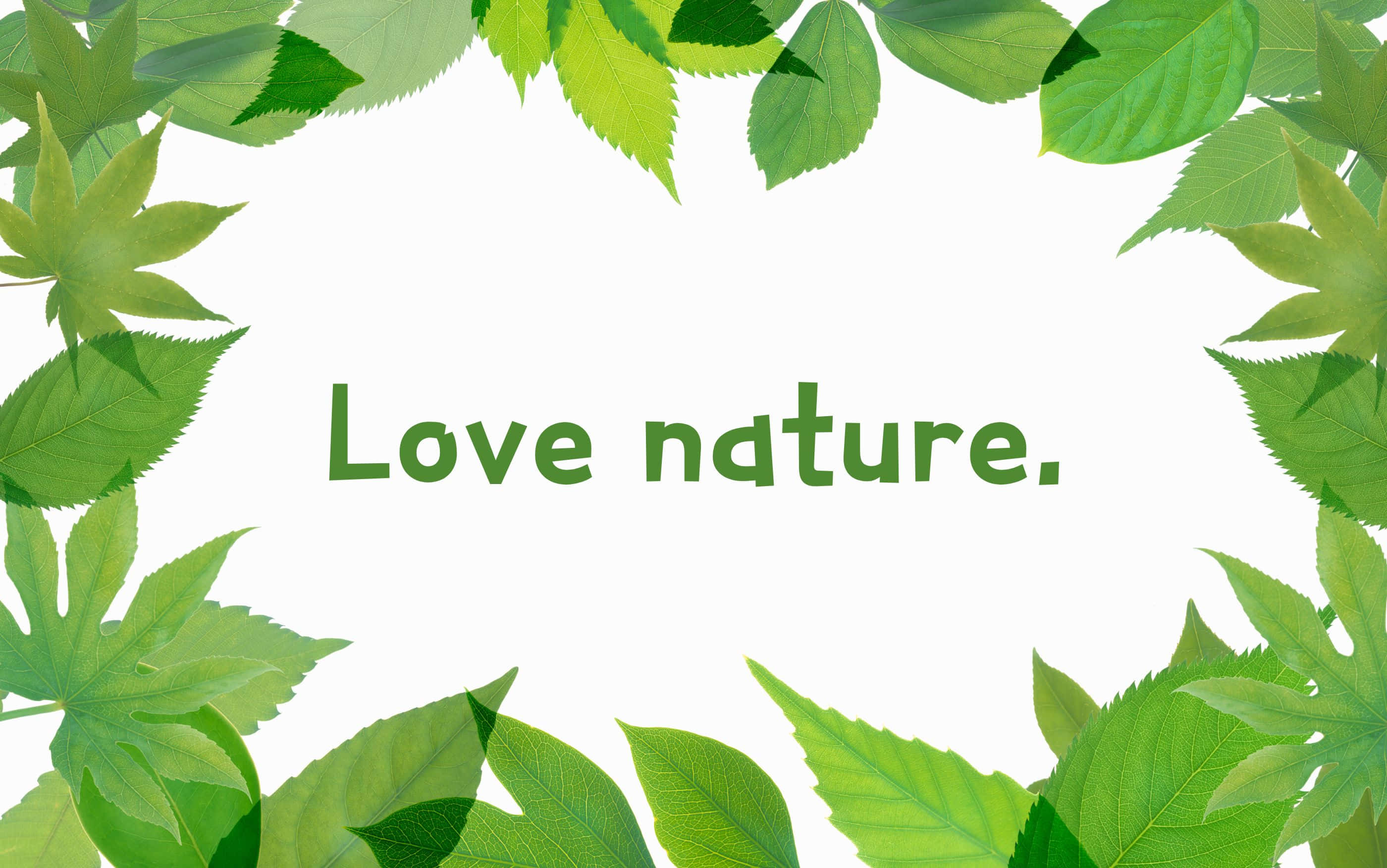 2800x1752, Love nature, fresh green leaves, 2K Desktop Wallpaper