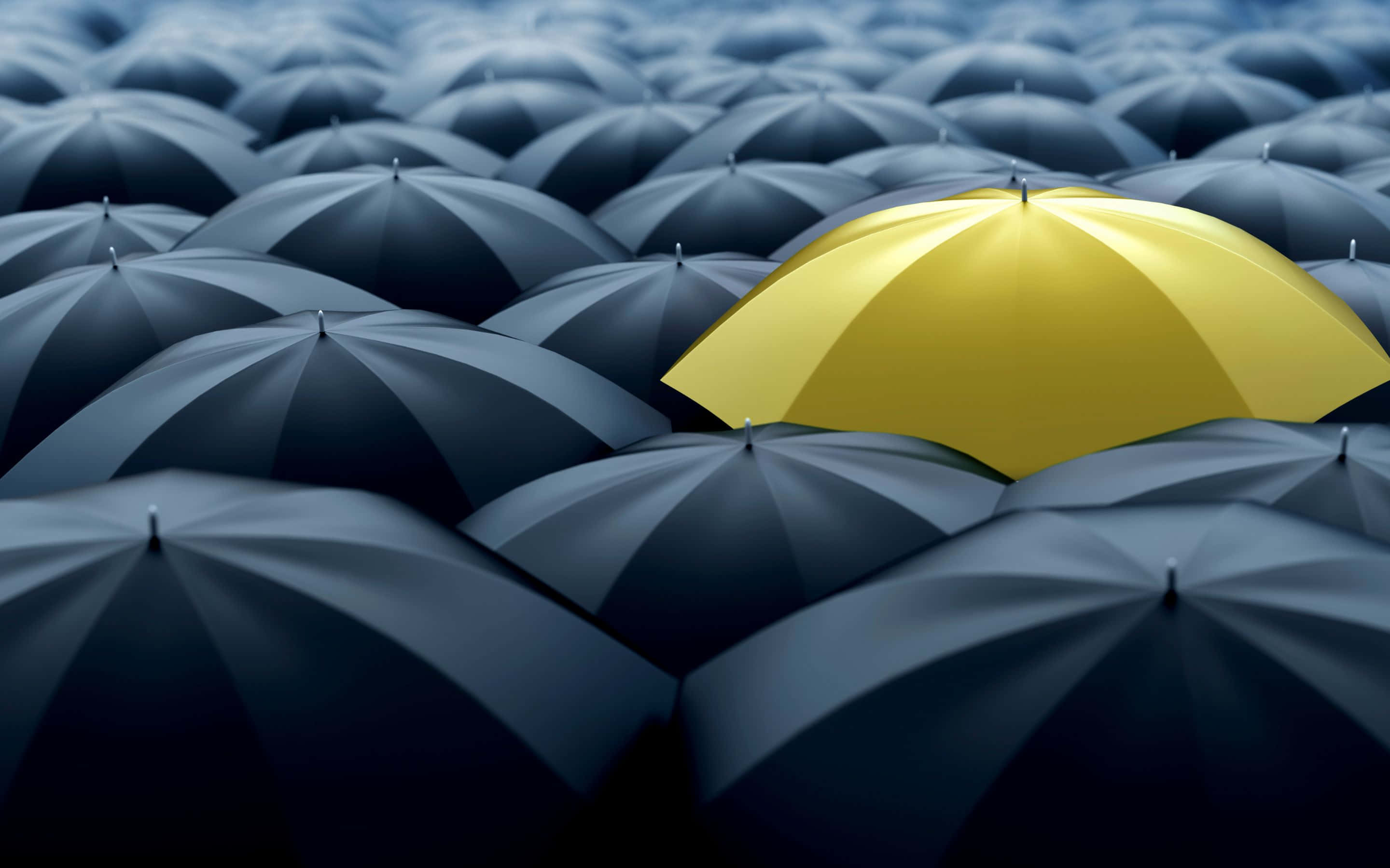 2880x1800, bright yellow umbrella, dark gray umbrellas, 2K Desktop Wallpaper