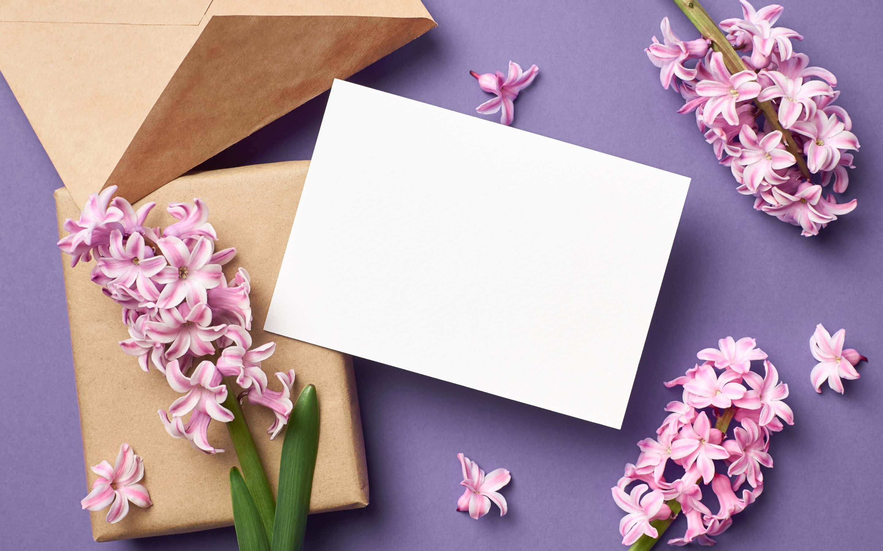 2880x1800, pink hyacinth flowers, brown envelopes, 2K Desktop Wallpaper