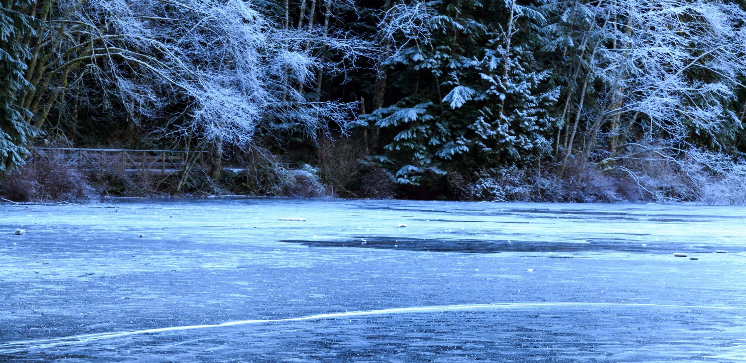 2960x1440, frozen lake, blue twilight, 2K Desktop Wallpaper