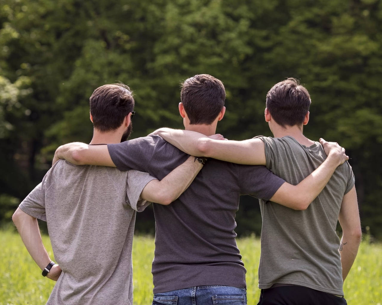3 male best friends, grassy field, dense green forest, HD Desktop Wallpaper
