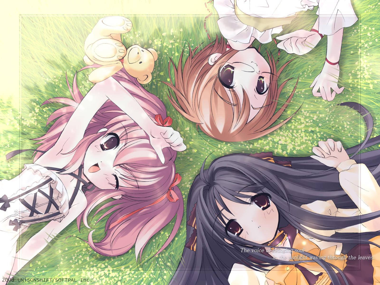 3 Anime Best Friends, pink hair, brown hair, HD Desktop Wallpaper