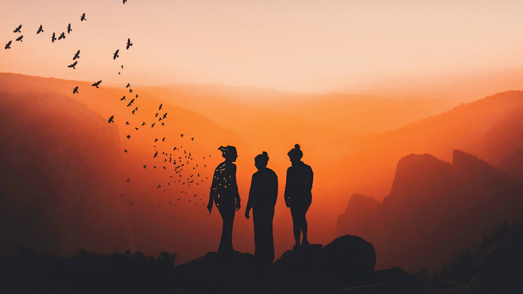 3 Silhouette Best Friends, cliff, birds, Full HD Desktop Wallpaper