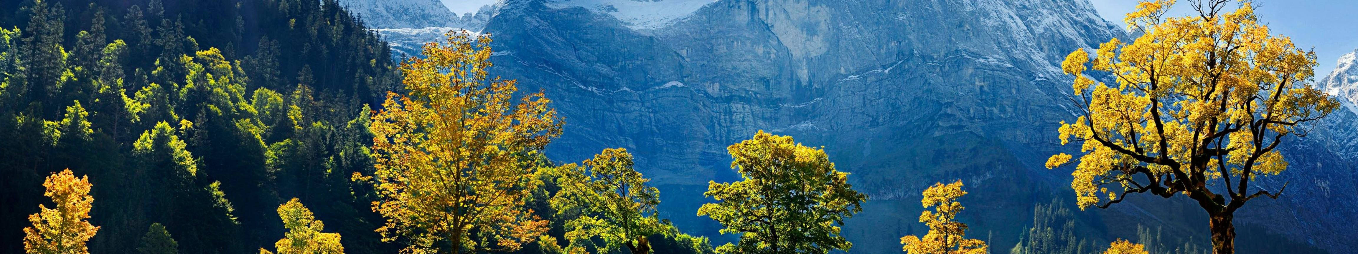 3 Monitor, yellow trees, snow-capped mountain range, 4K Desktop Wallpaper