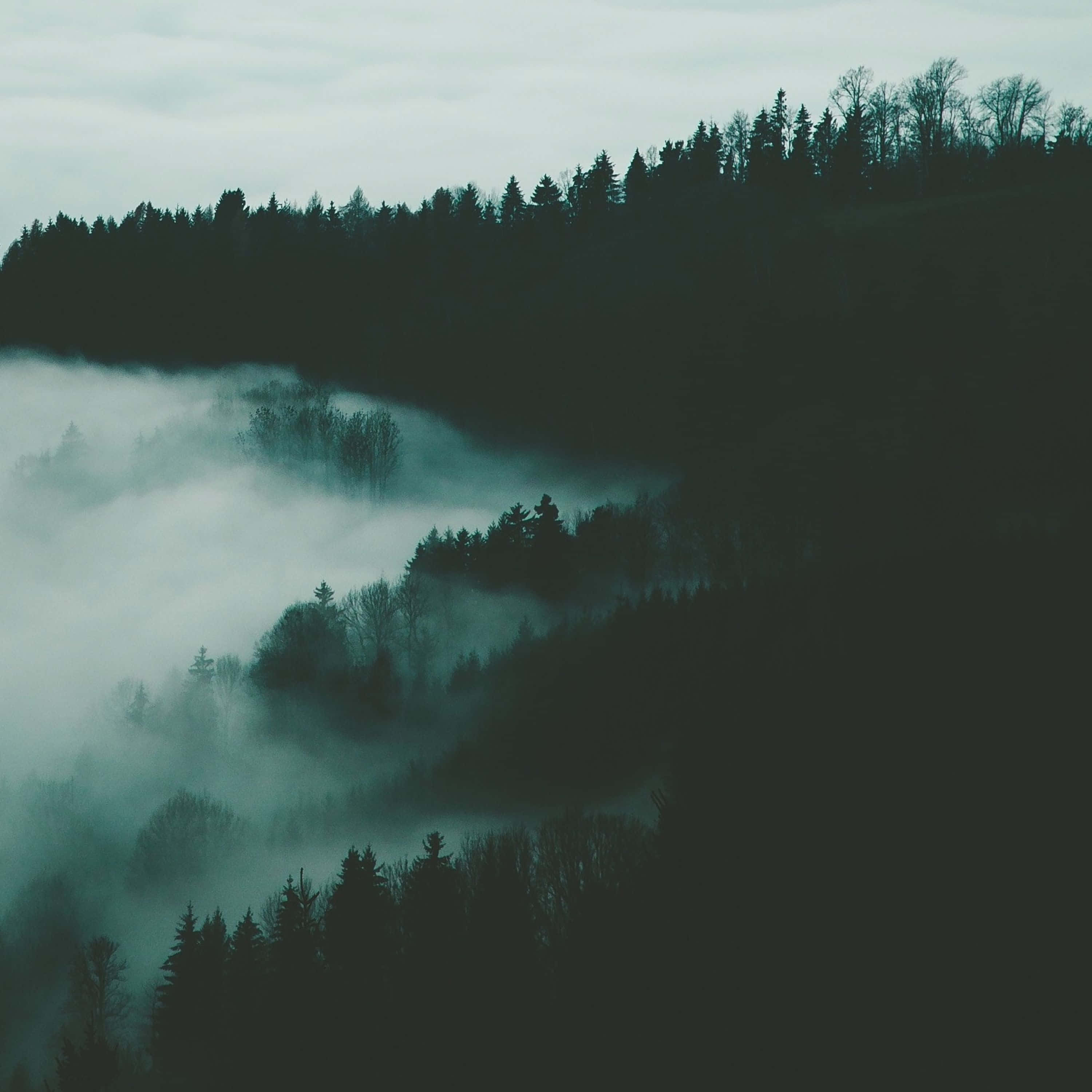 3000x3000, foggy mountain, misty forested hills, 2K Desktop Wallpaper