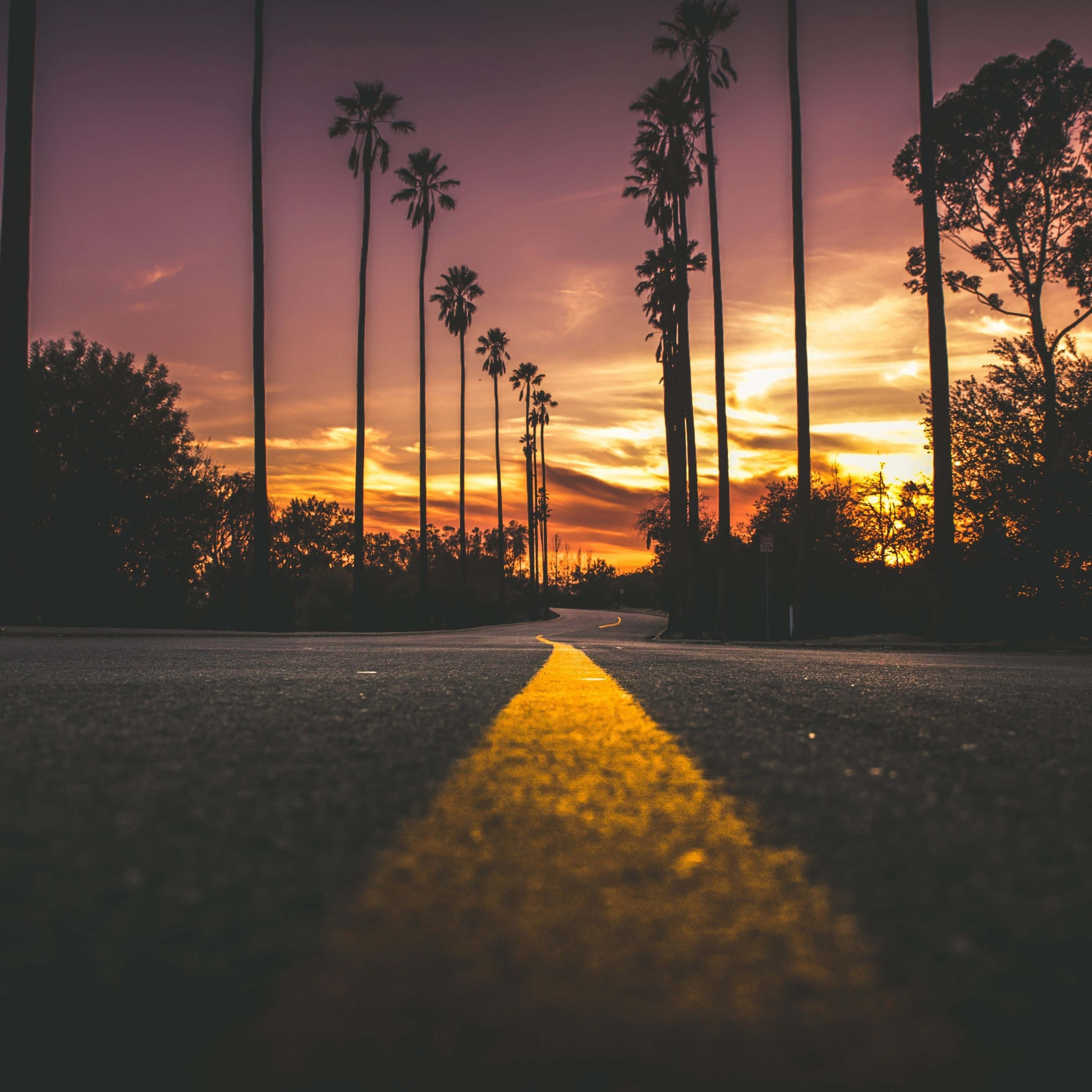 3000x3000, sunset, winding road, 2K Desktop Wallpaper