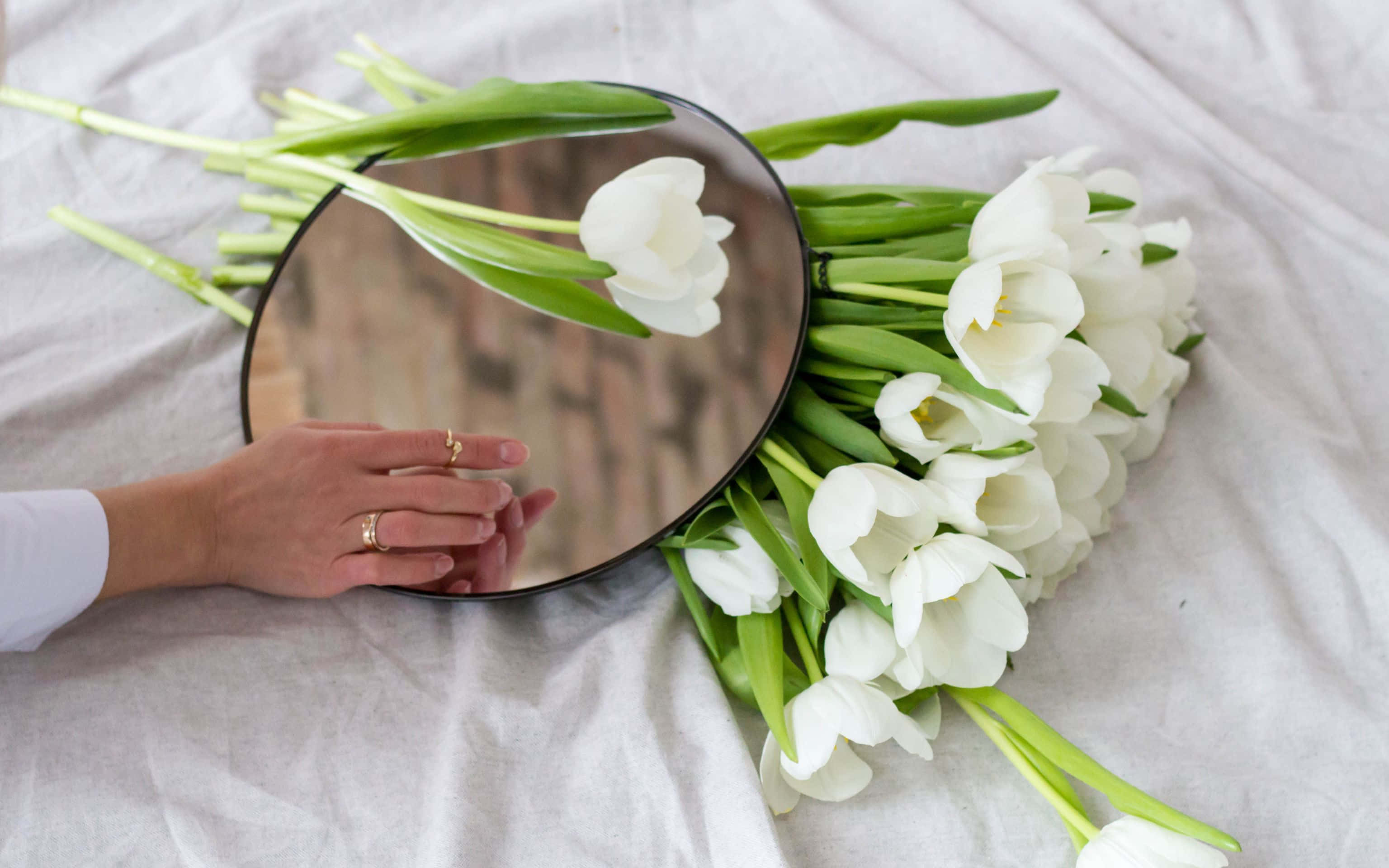 3072x1920, mirror, white tulips, 2K Desktop Wallpaper