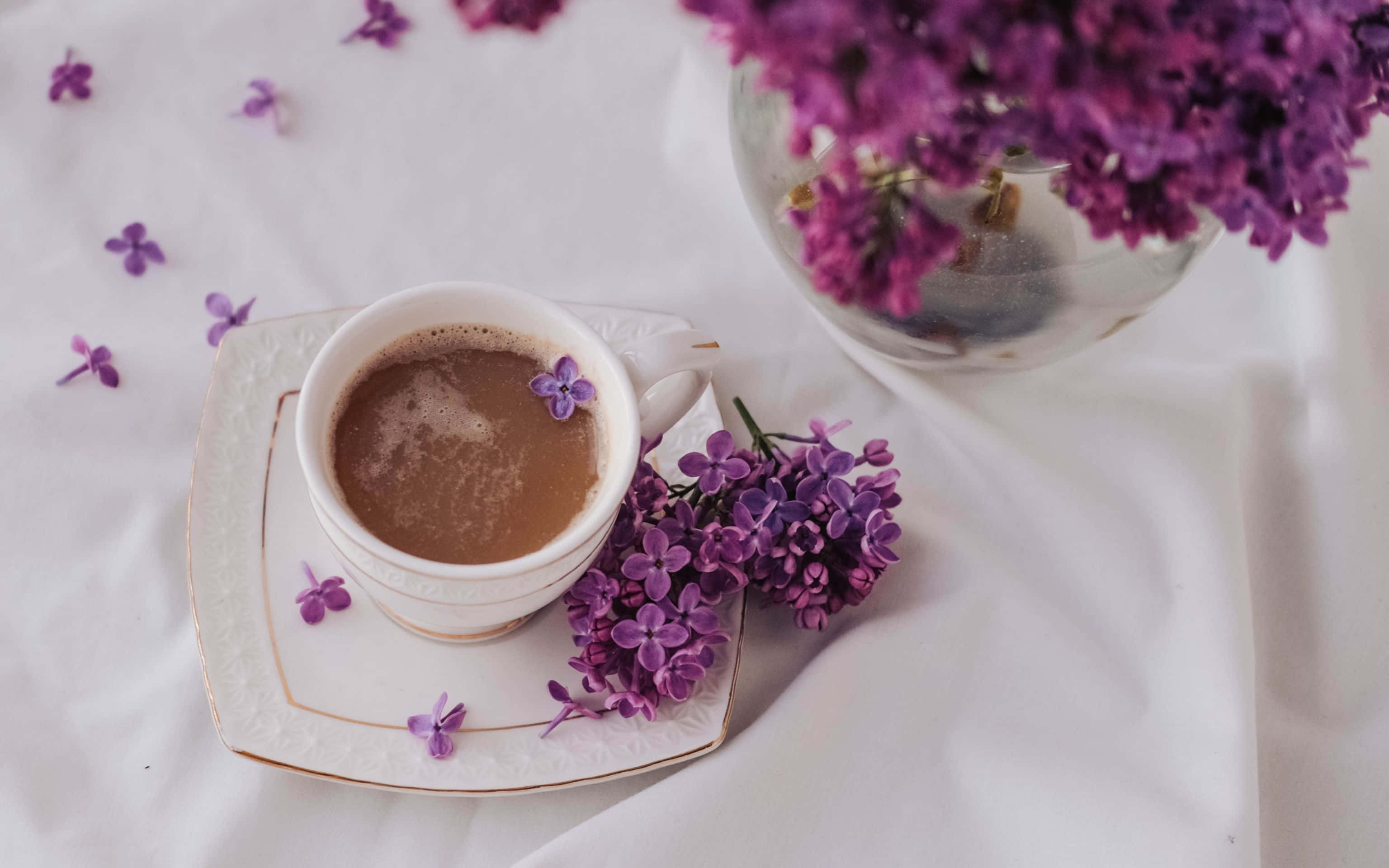3072x1920, white cup, hot chocolate, 2K Desktop Wallpaper