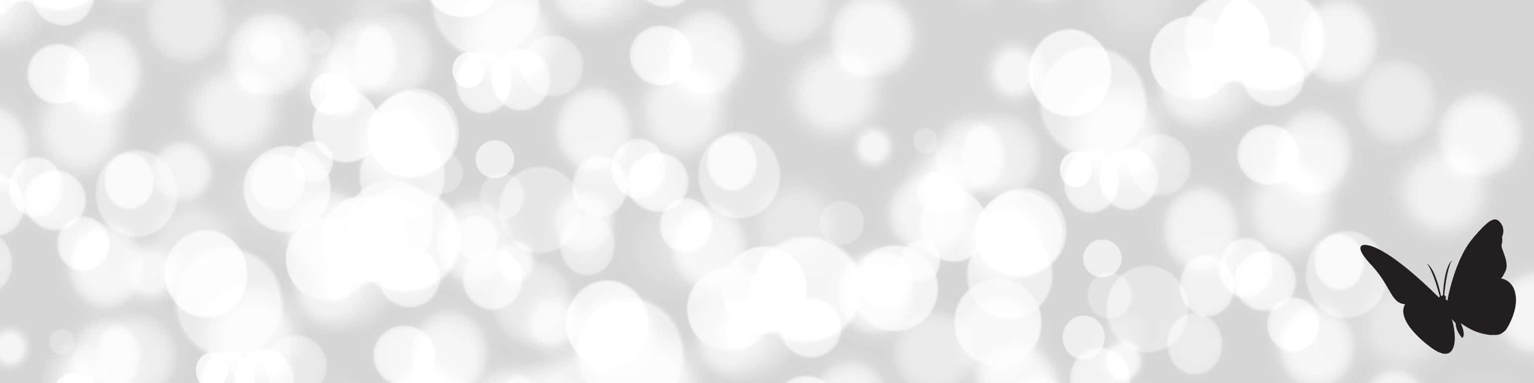 black butterfly silhouette, soft silver bokeh background, Sunbeams Shining Through the Trees, 2K Desktop Wallpaper
