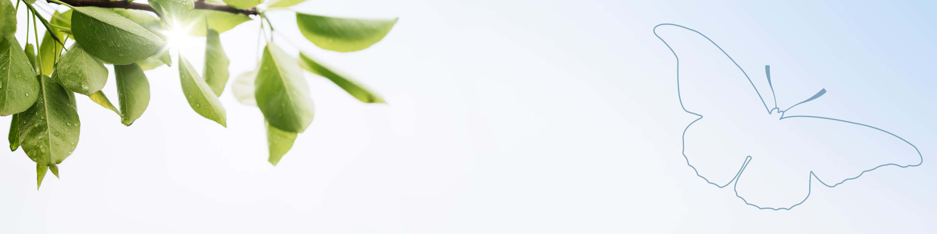 3072x768, dewy green leaves, delicate blue outline of a butterfly, 2K Desktop Wallpaper