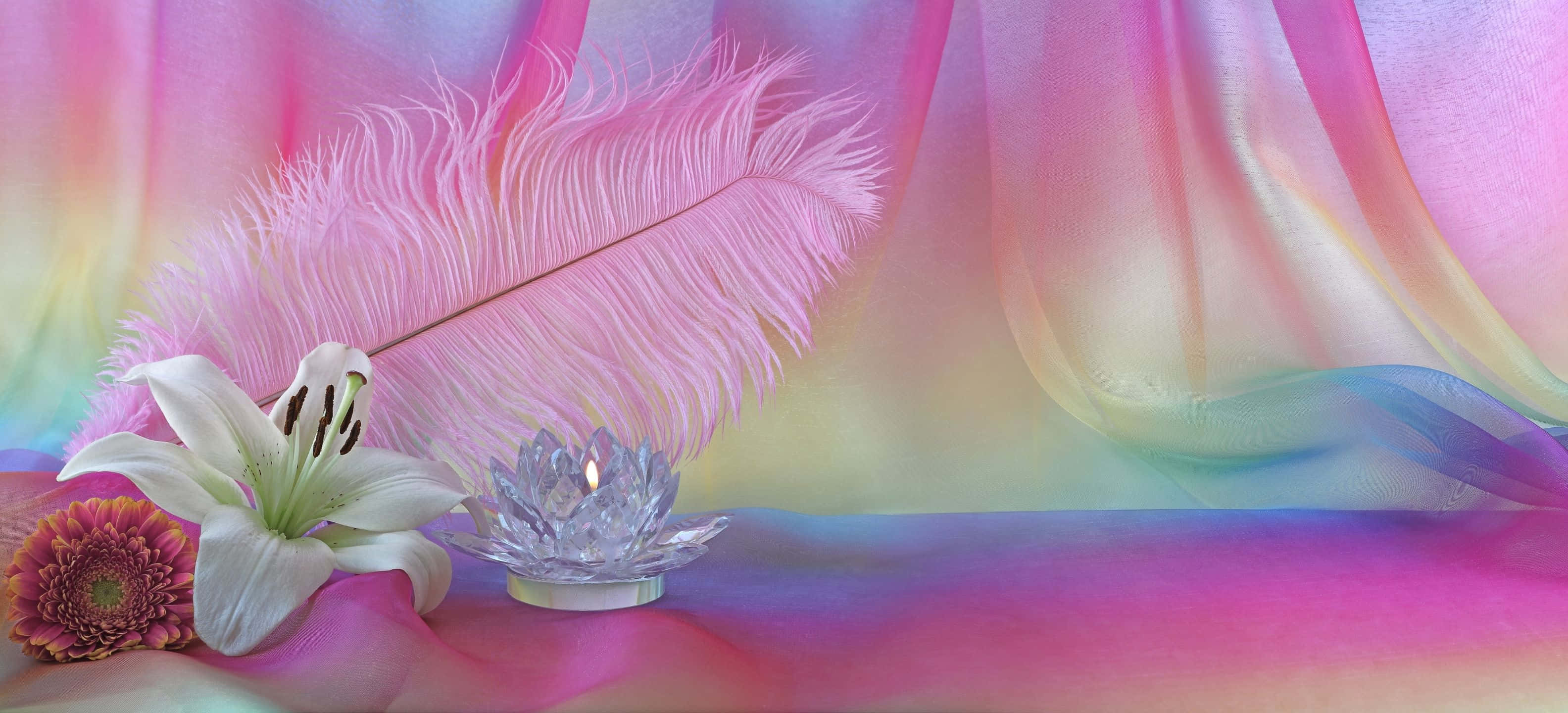 pastel colors, treeline, white lily, 2K Desktop Wallpaper