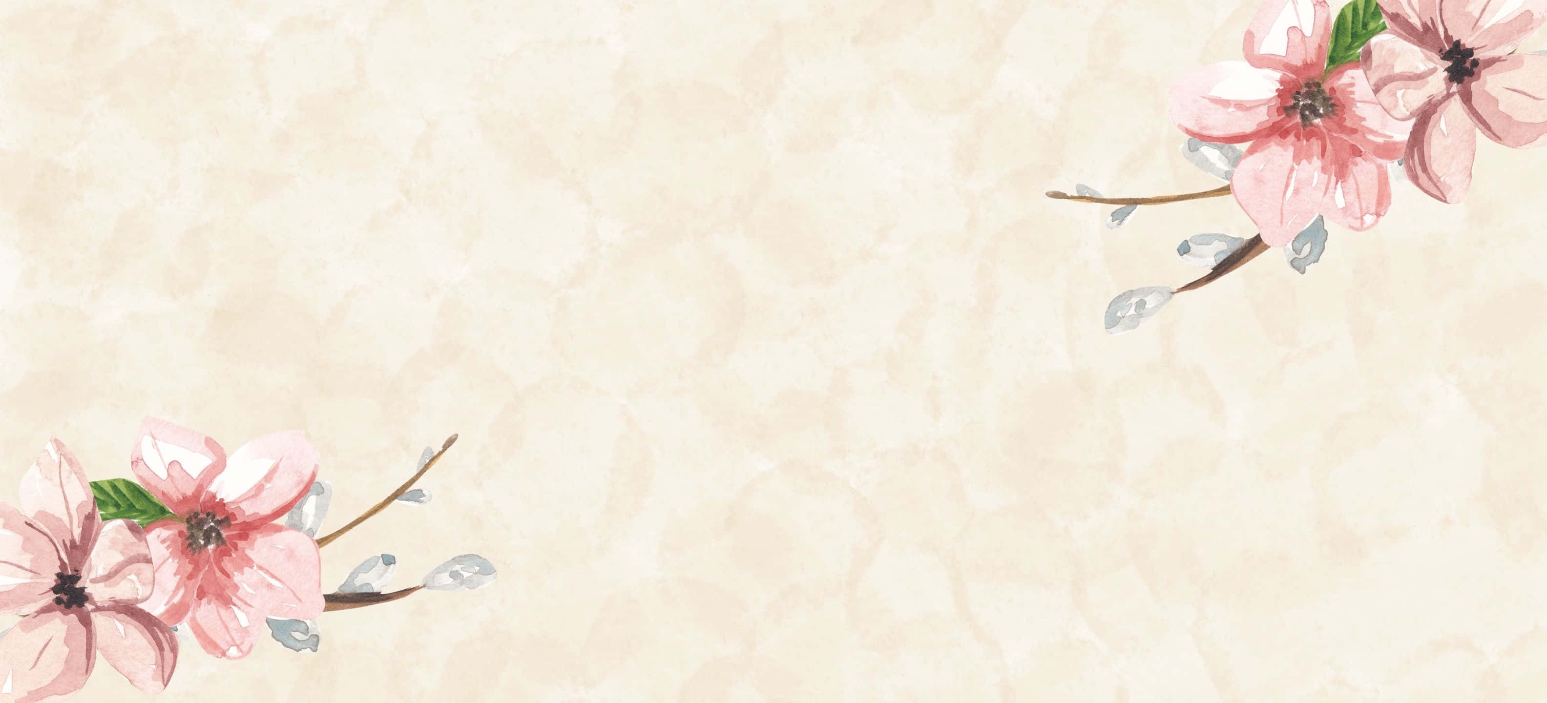 pink flowers, cherry blossoms, textured beige background, 2K Desktop Wallpaper
