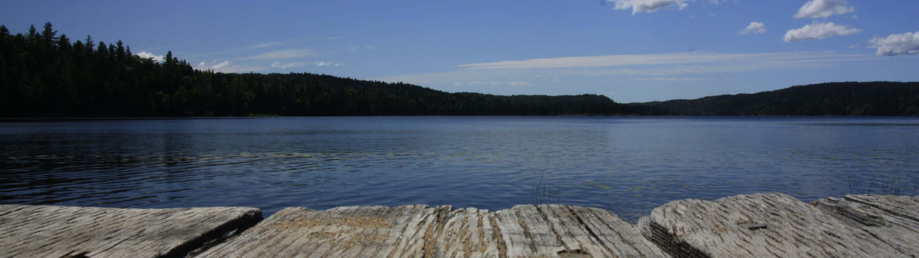 wooden dock, calm blue lake, dense green forest, 2K Desktop Wallpaper