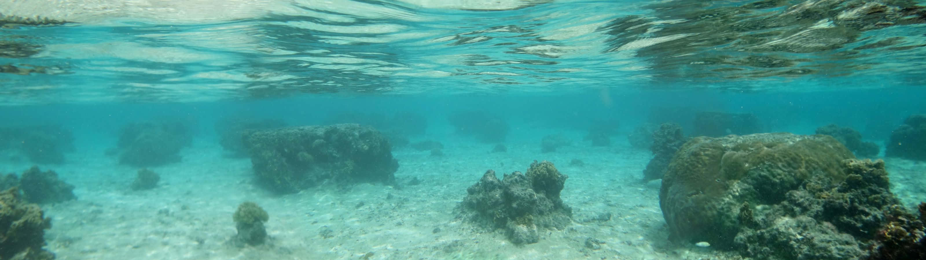 3200x900, turquoise water, sandy ocean floor, 2K Desktop Wallpaper