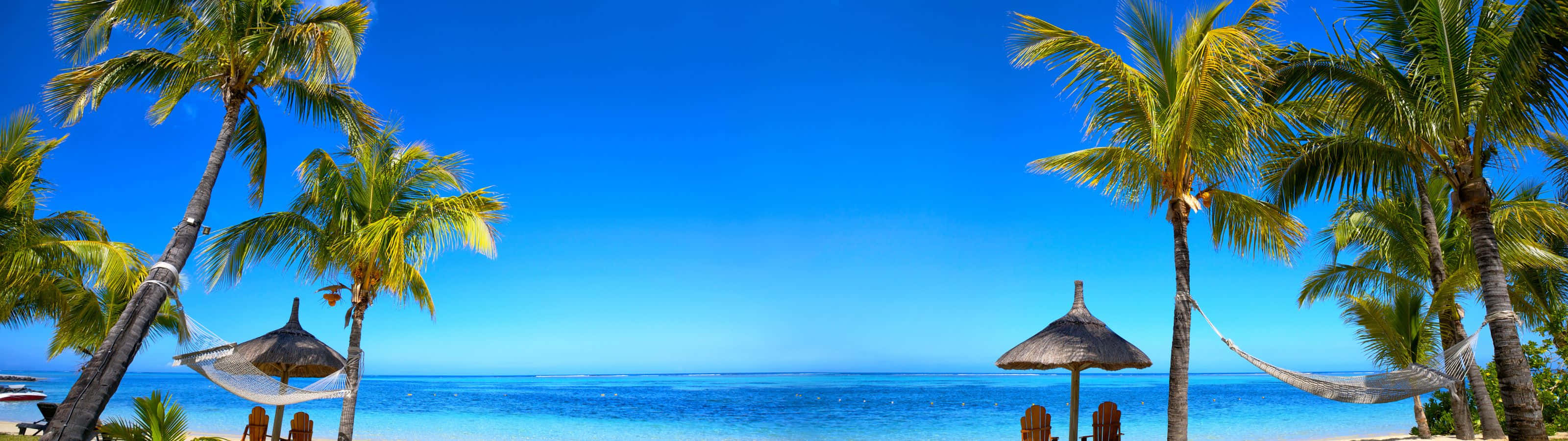 tropical beach paradise, palm trees, hammocks, 2K Desktop Wallpaper