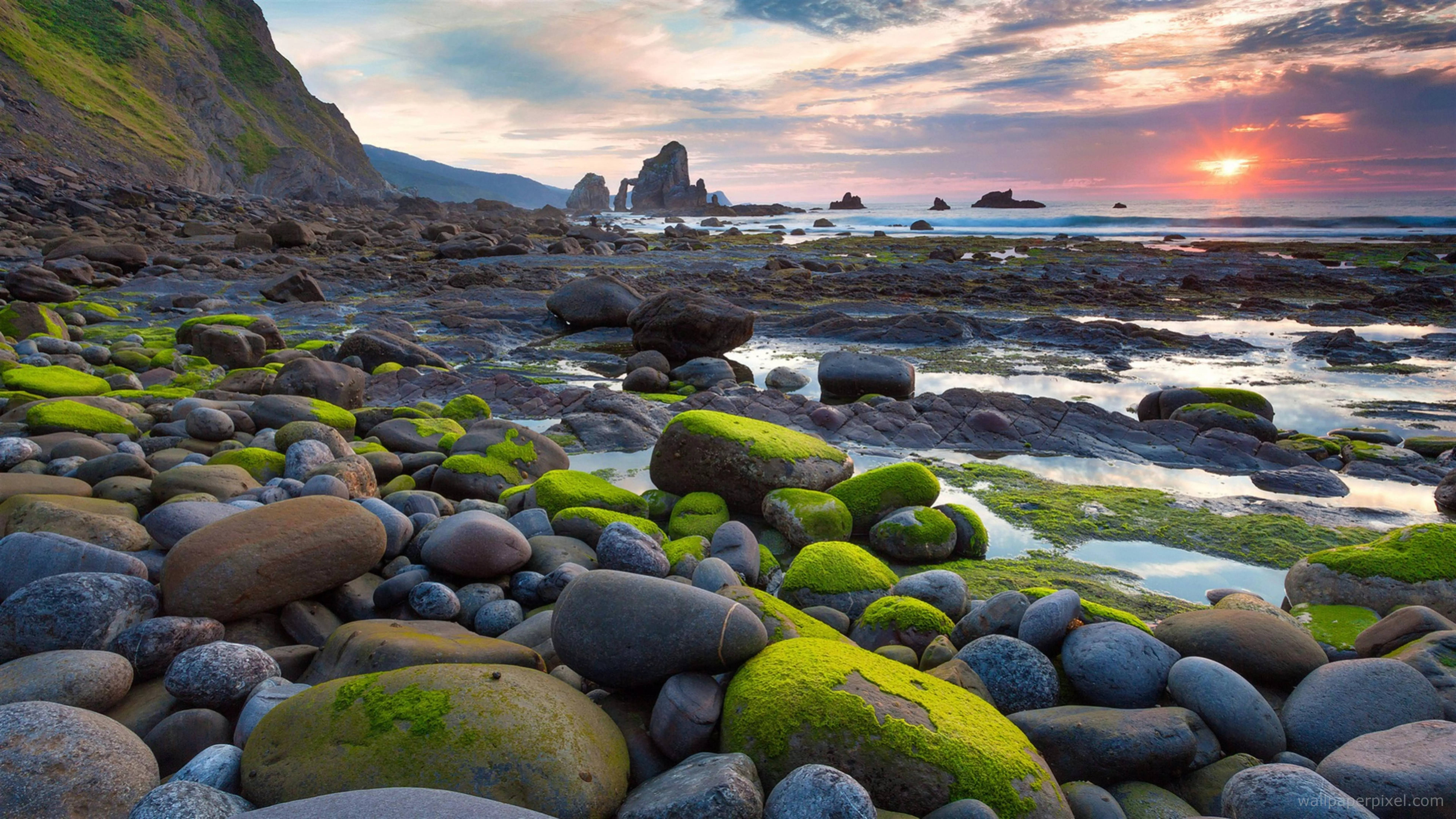 32k Ultra HD Nature, mossy rocks, beach, 8K Desktop Wallpaper