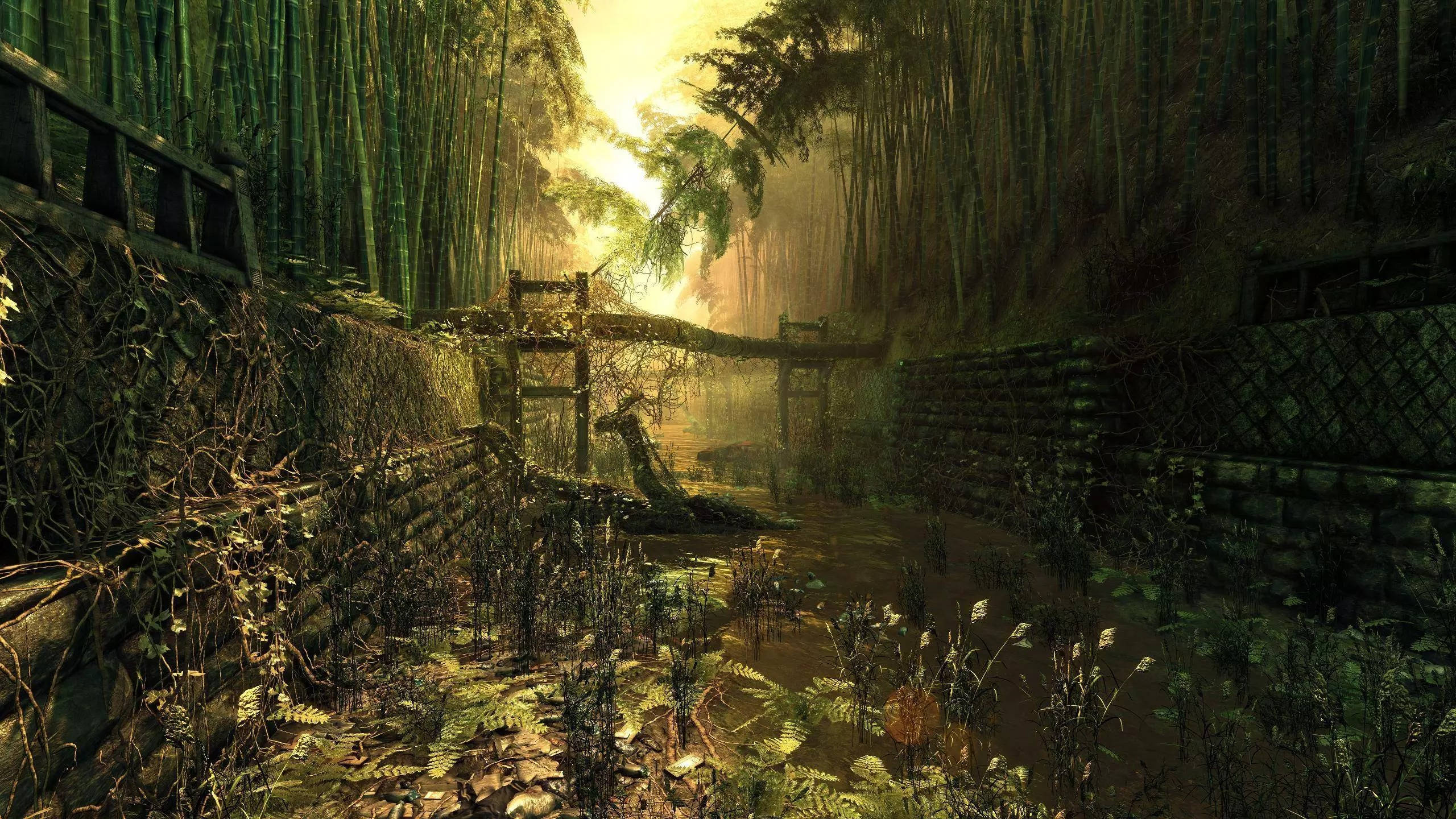 32k ultra hd nature, bamboo forest, mossy overgrown wooden bridge, 2K Desktop Wallpaper