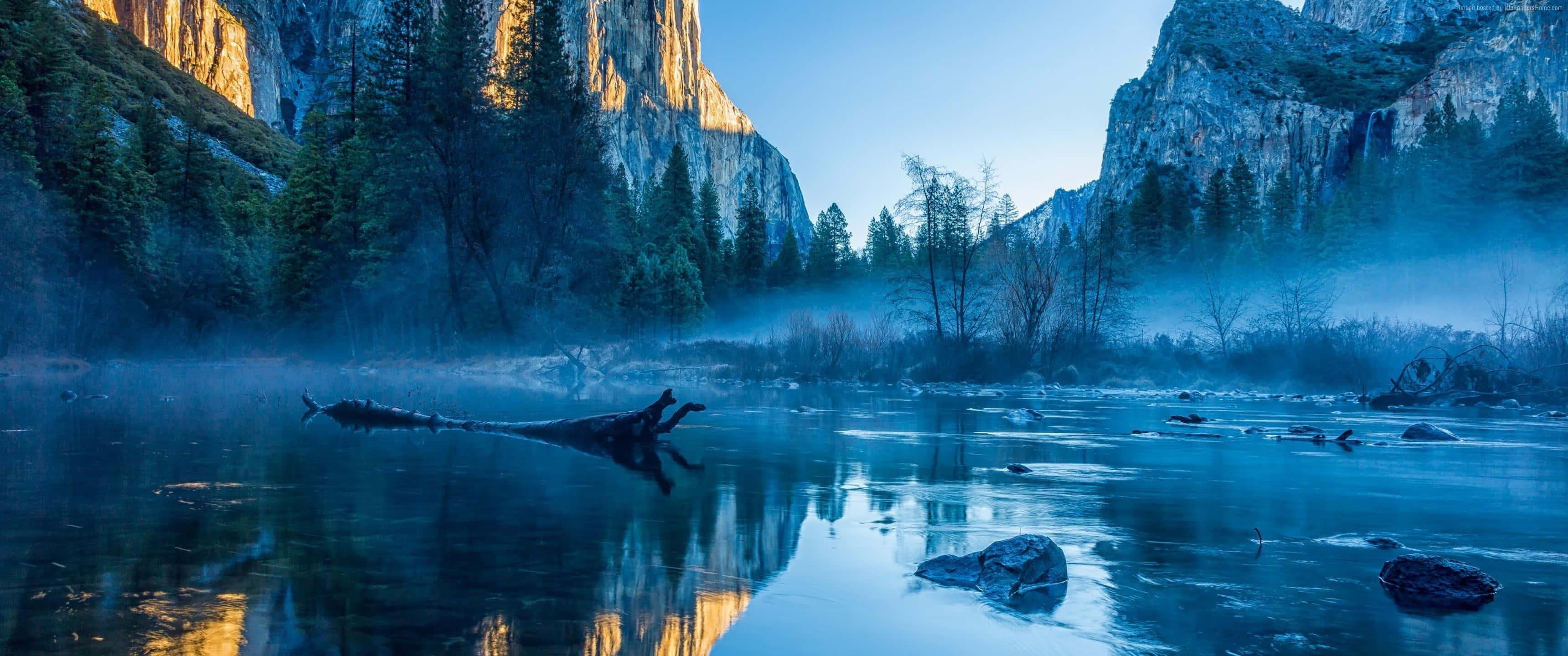3440 x 1440 4K, golden cliffs, evergreens, 2K Desktop Wallpaper