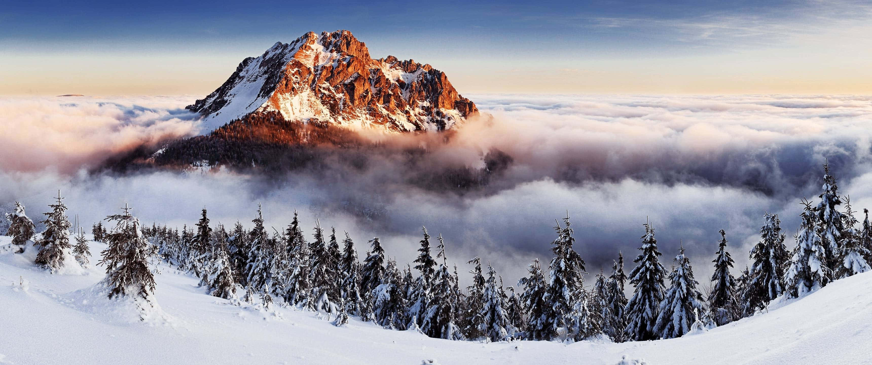 3440 x 1440 4k, snowcapped mountain peak, sea of clouds, 2K Desktop Wallpaper