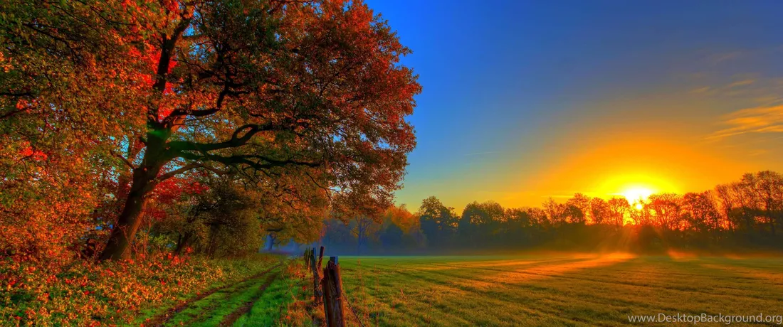 3440x1440 Fall