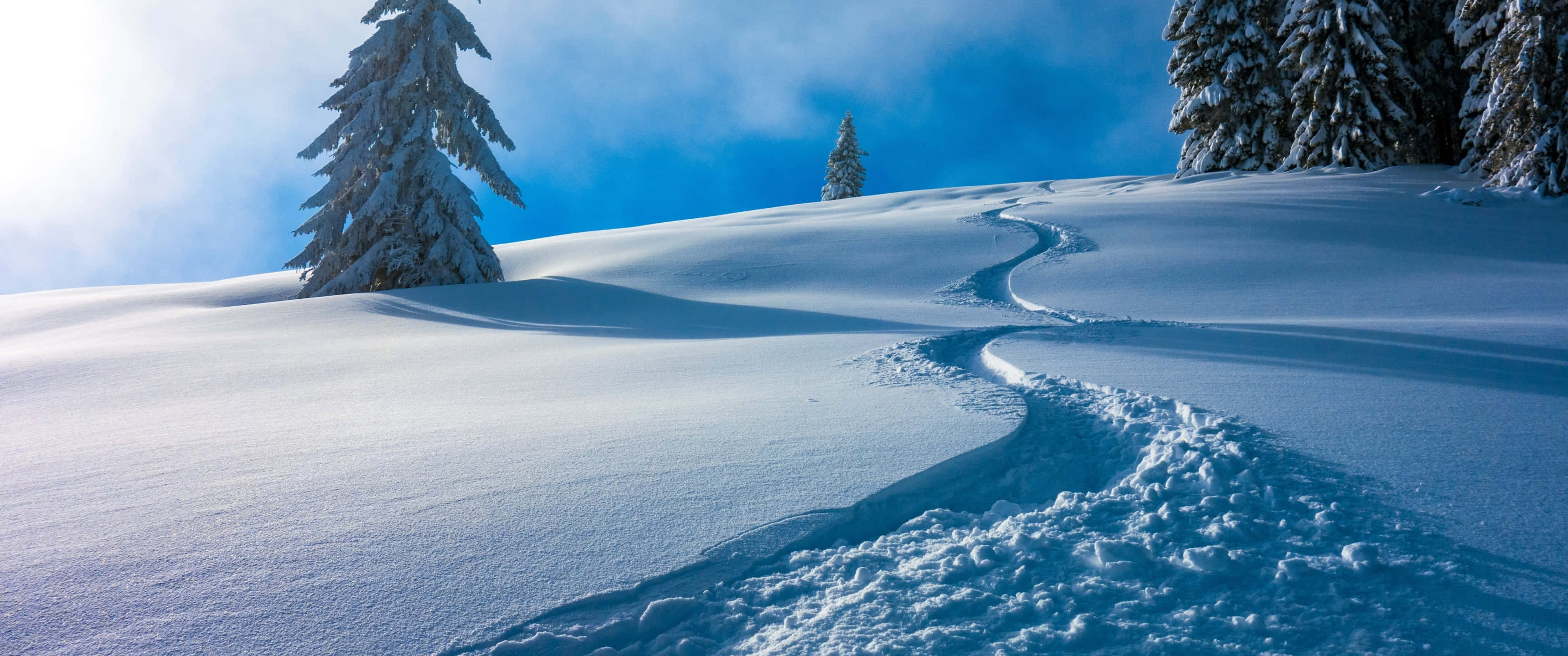 3440x1440, winter, ski trail, 2K Desktop Wallpaper