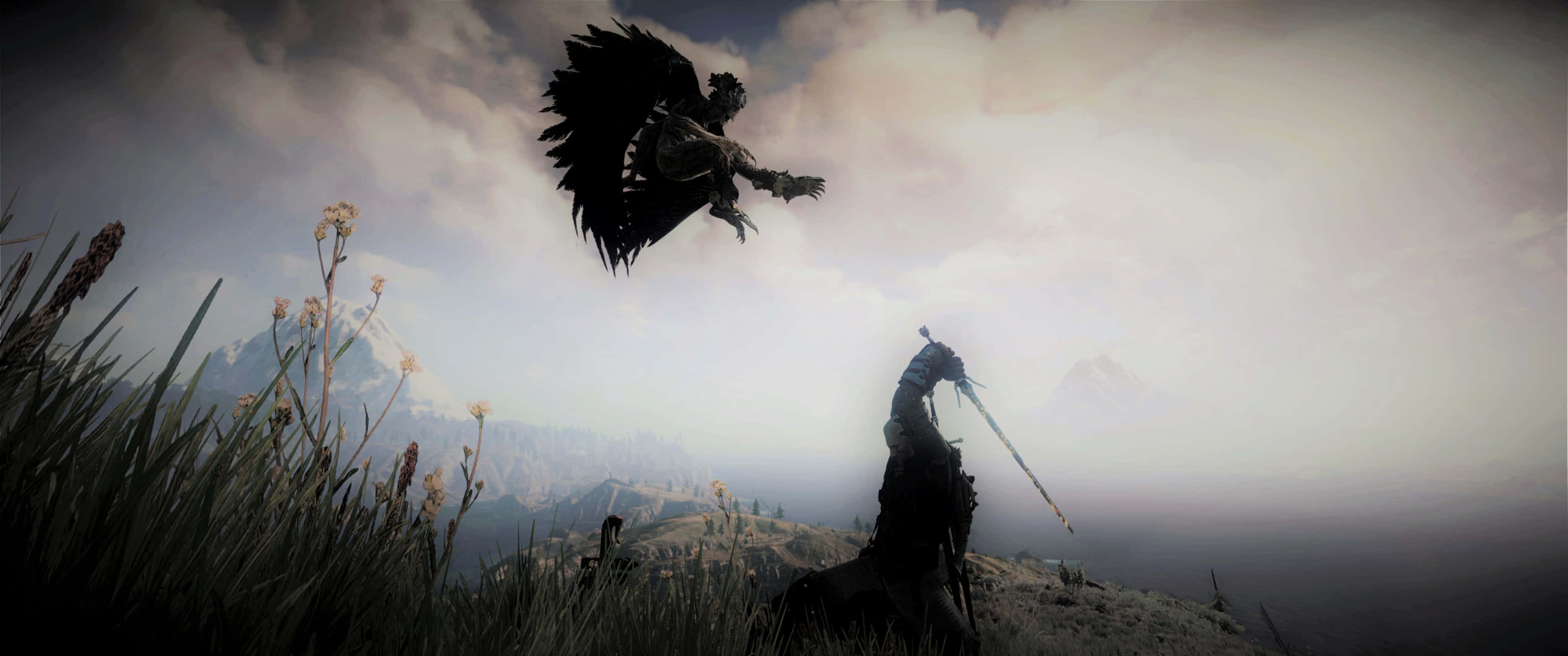 Witcher, lone warrior, black-winged beast, 2K Desktop Wallpaper