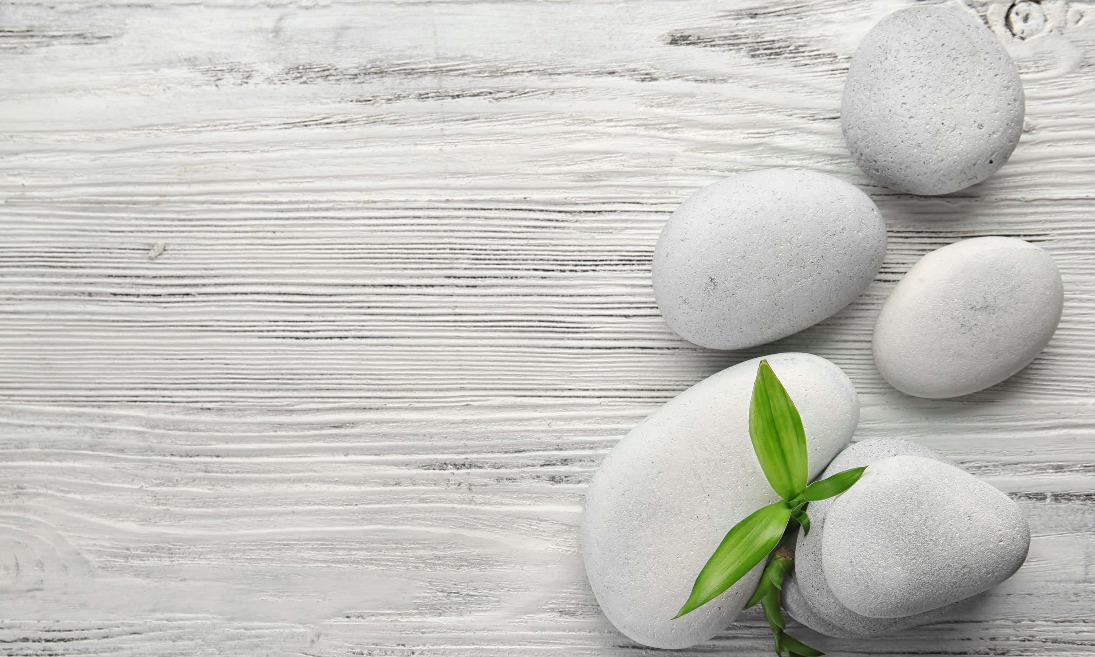 3600x2160, gray stones, green bamboo, 2K Desktop Wallpaper