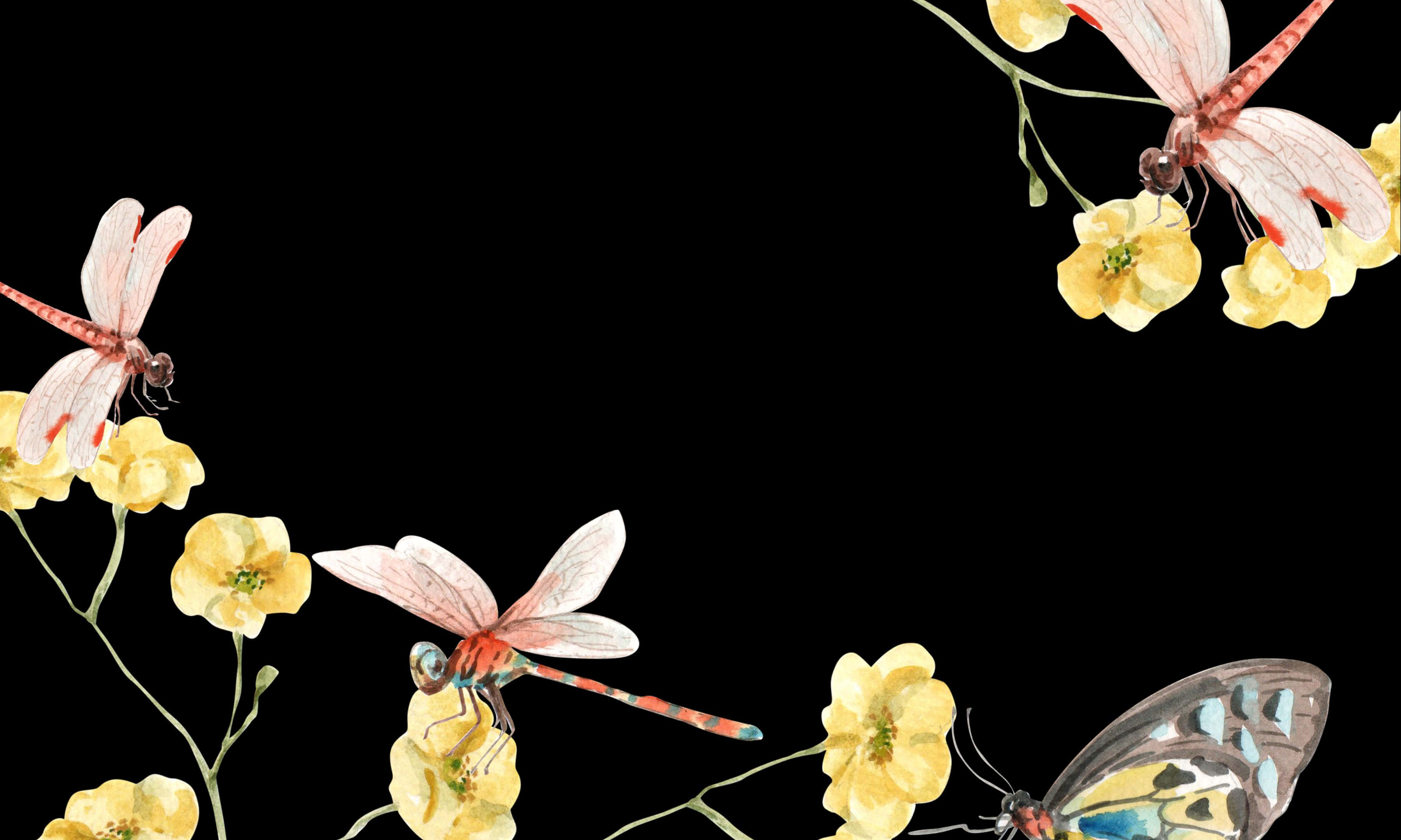 3600x2160, watercolor, dragonflies, 2K Desktop Wallpaper