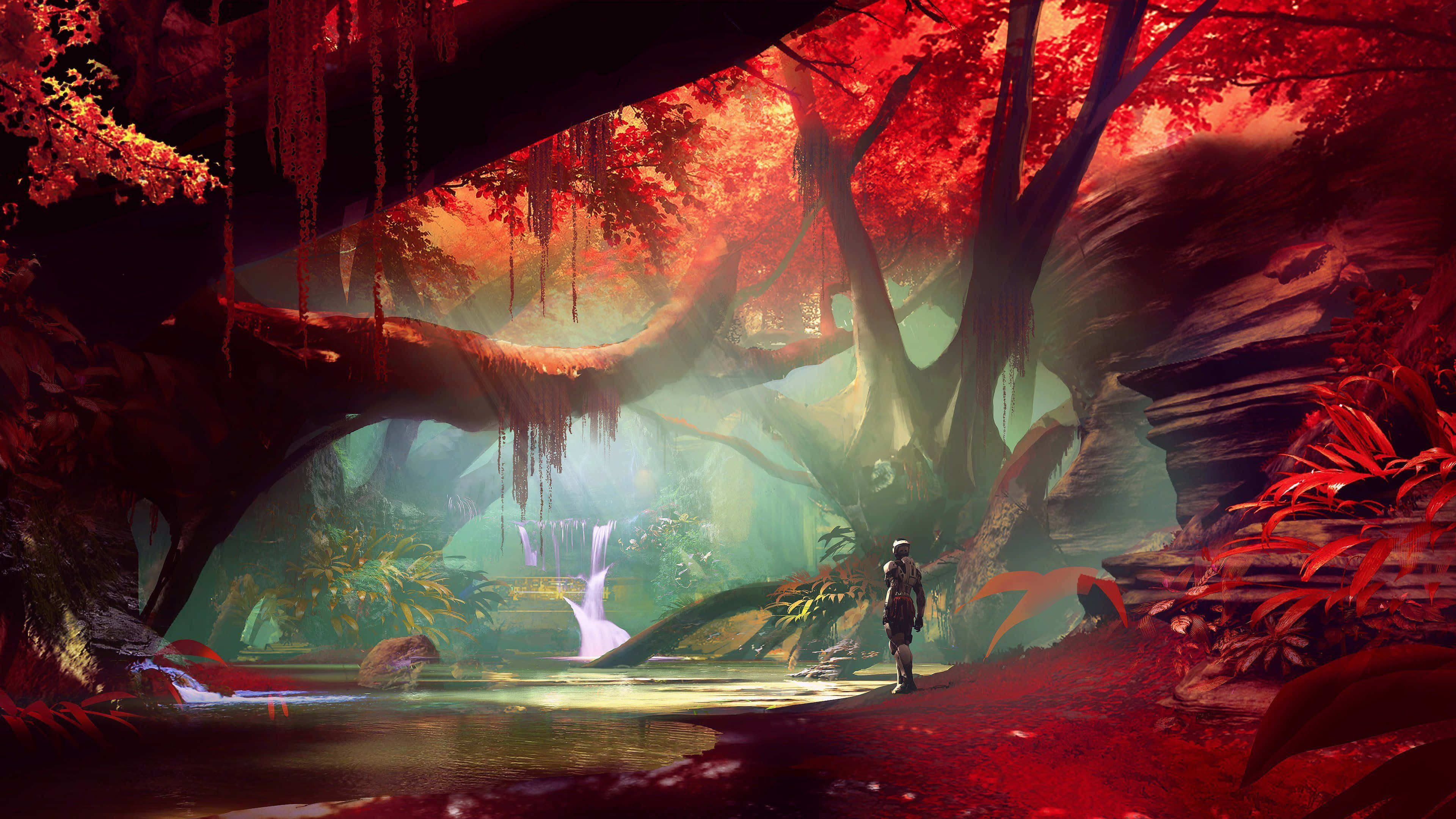 Destiny 2, mystical forest, glowing red foliage, 4K Desktop Wallpaper