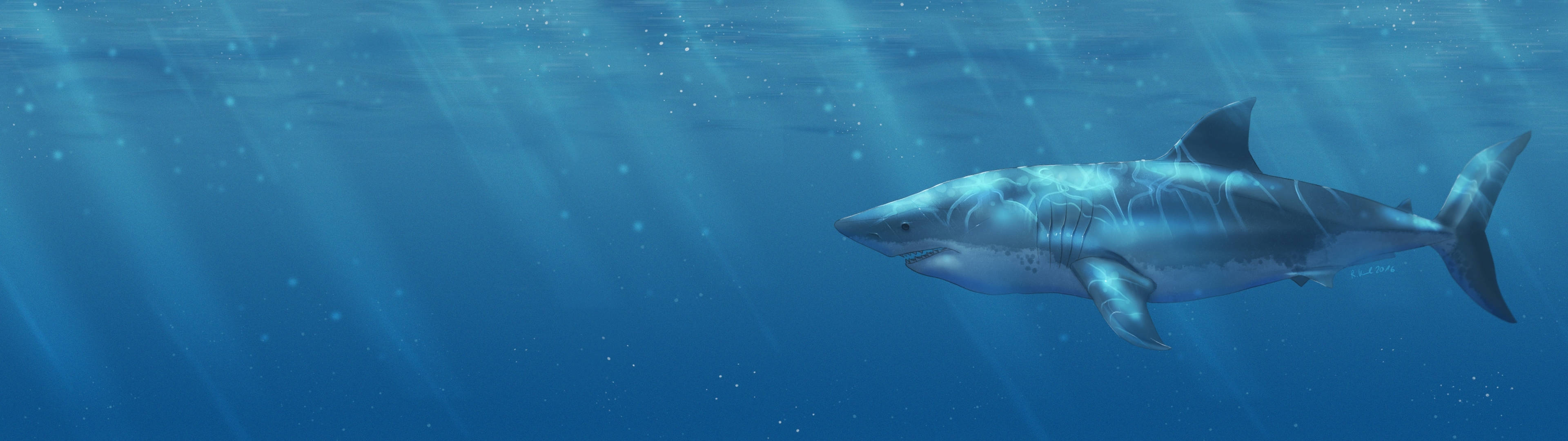 3840x1080 HD Dual Monitor, shark, great white shark, 4K Desktop Wallpaper