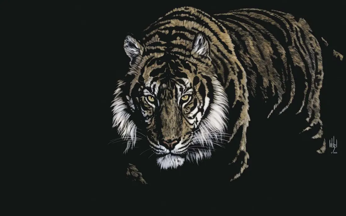 3D Animal
