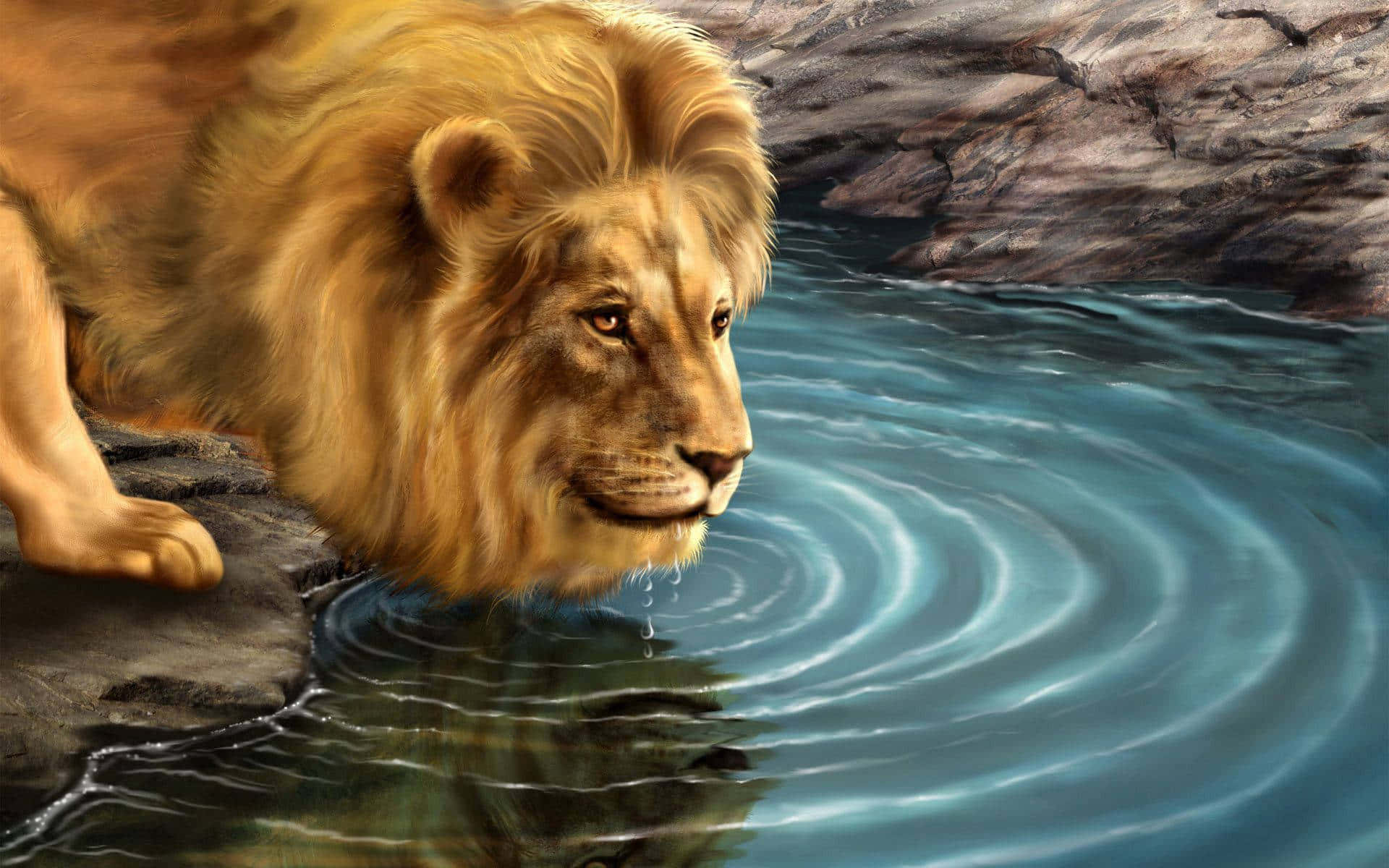 majestic lion, full golden mane, clear blue pool, Full HD Desktop Wallpaper