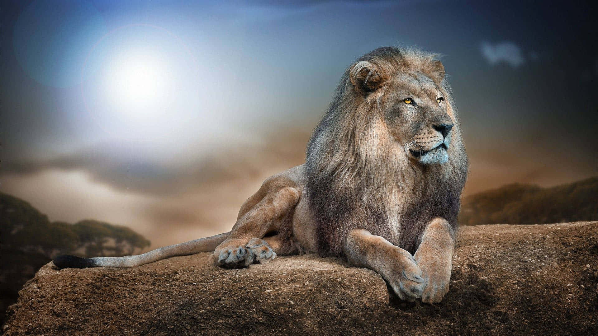 3d animal, lion, rocky outcrop, Full HD Desktop Wallpaper