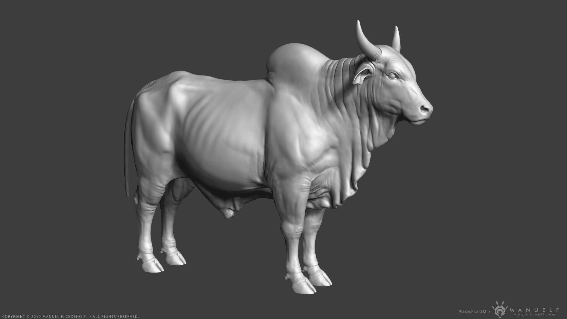 3d zebu cattle, grayscale, muscular bull, Full HD Desktop Wallpaper